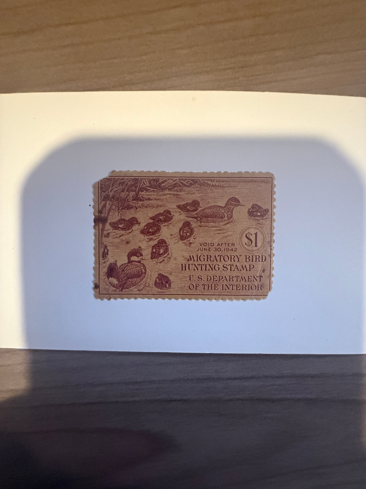 1941 $1 Migratory Bird Hunting Stamp (RW8) CV$$200