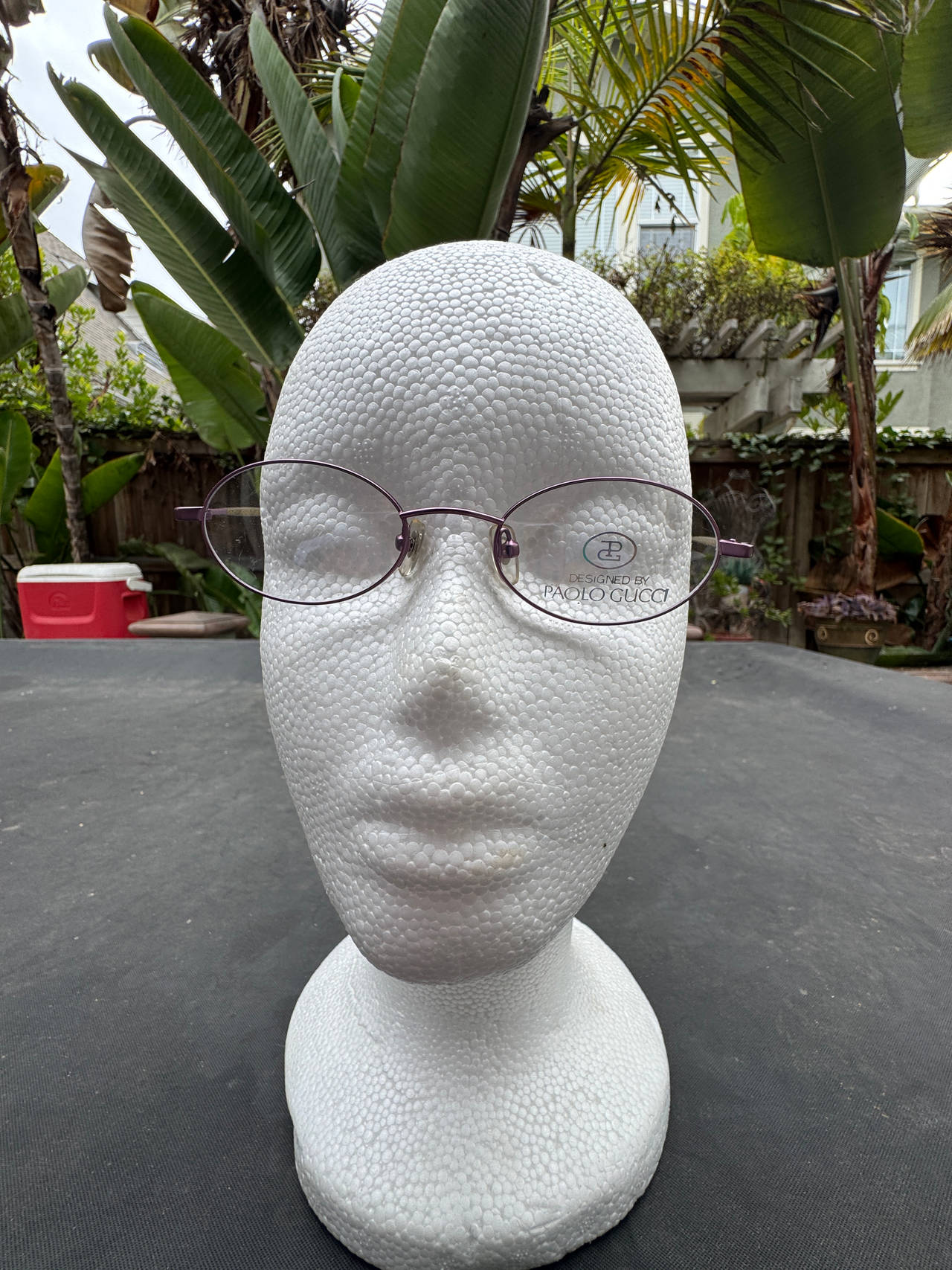 Paolo Gucci Eyeglasses
