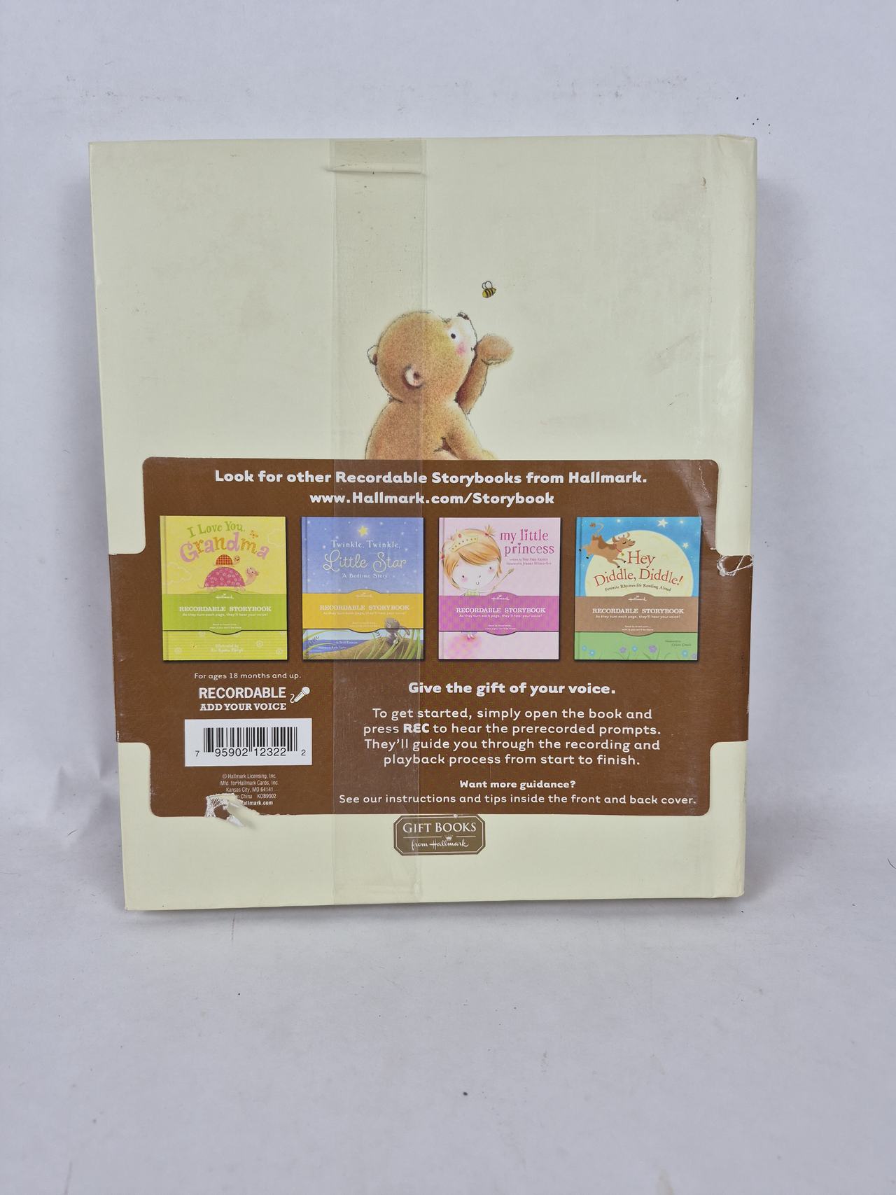 Hallmark All the Ways I Love You Recordable Storybook