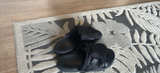 Draco slides  - Image 2