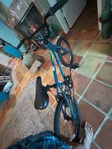 Redline Roam 20" BMX Bike - Image 3