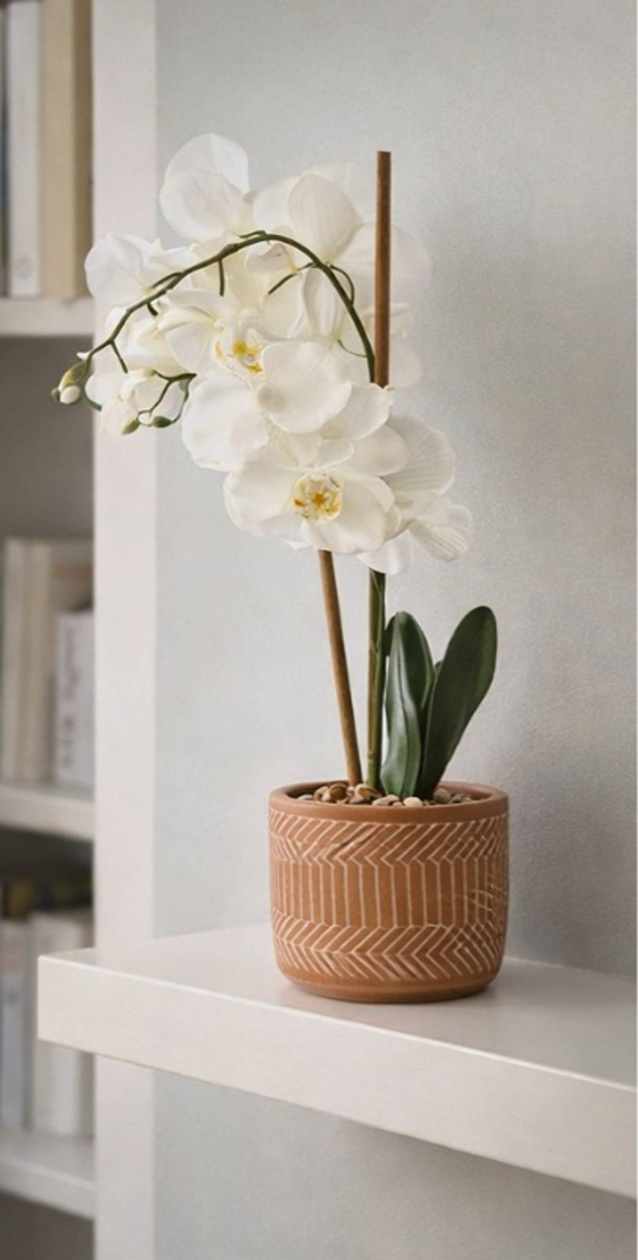 Artificial Orchid in Ceramic planter