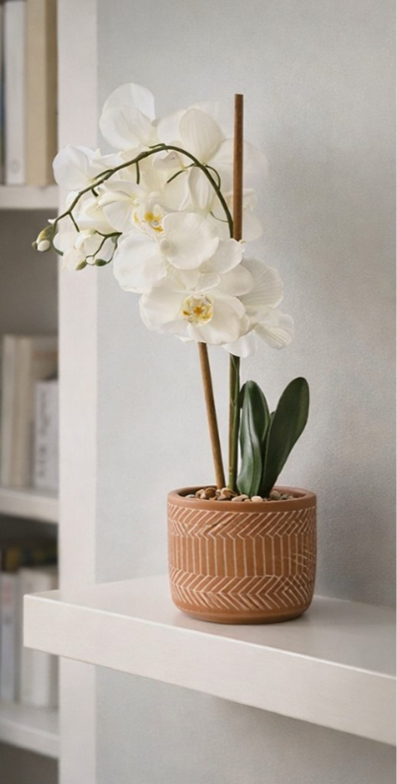 Artificial Orchid in Ceramic planter