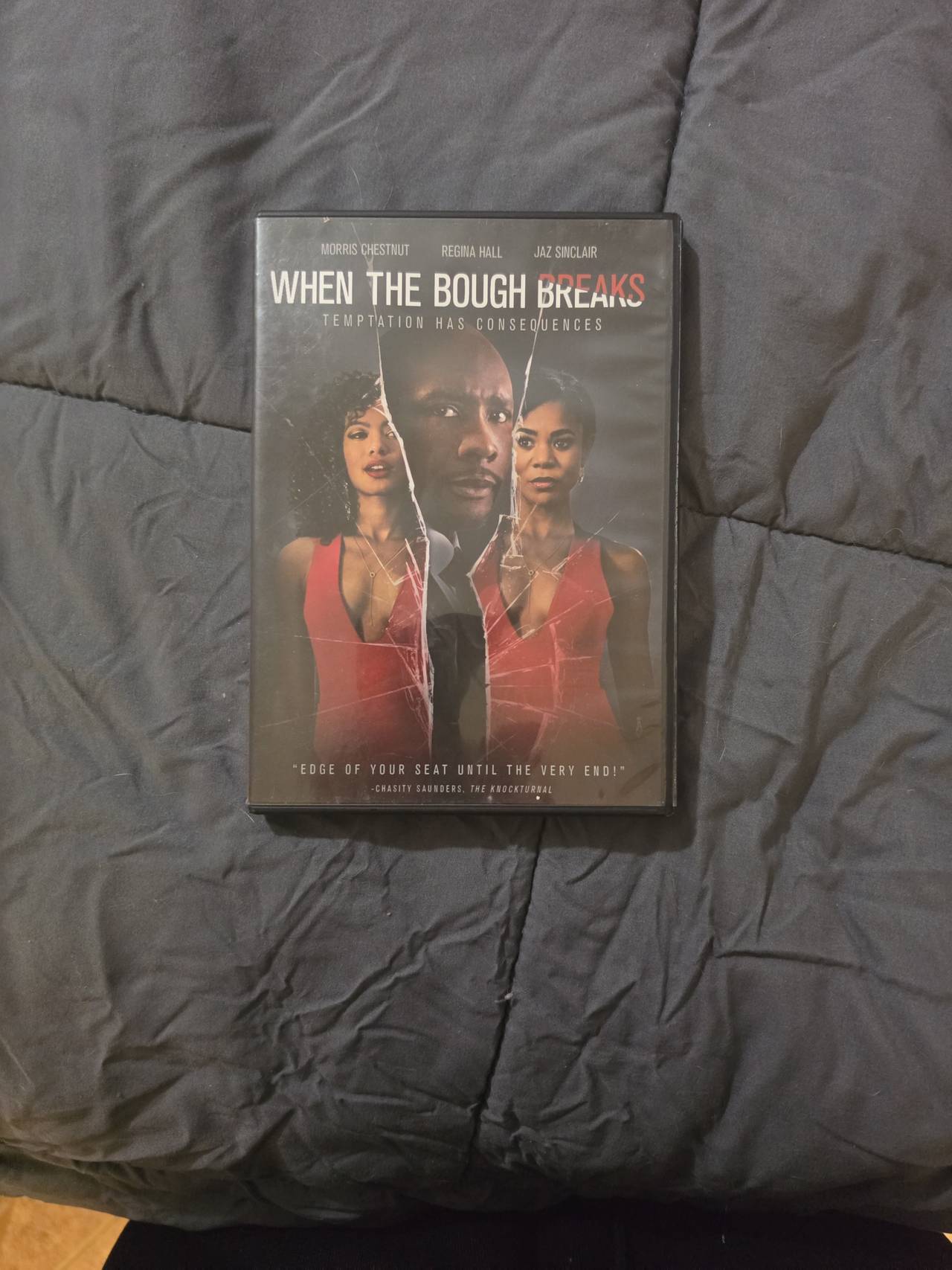 When the Bough Breaks DVD