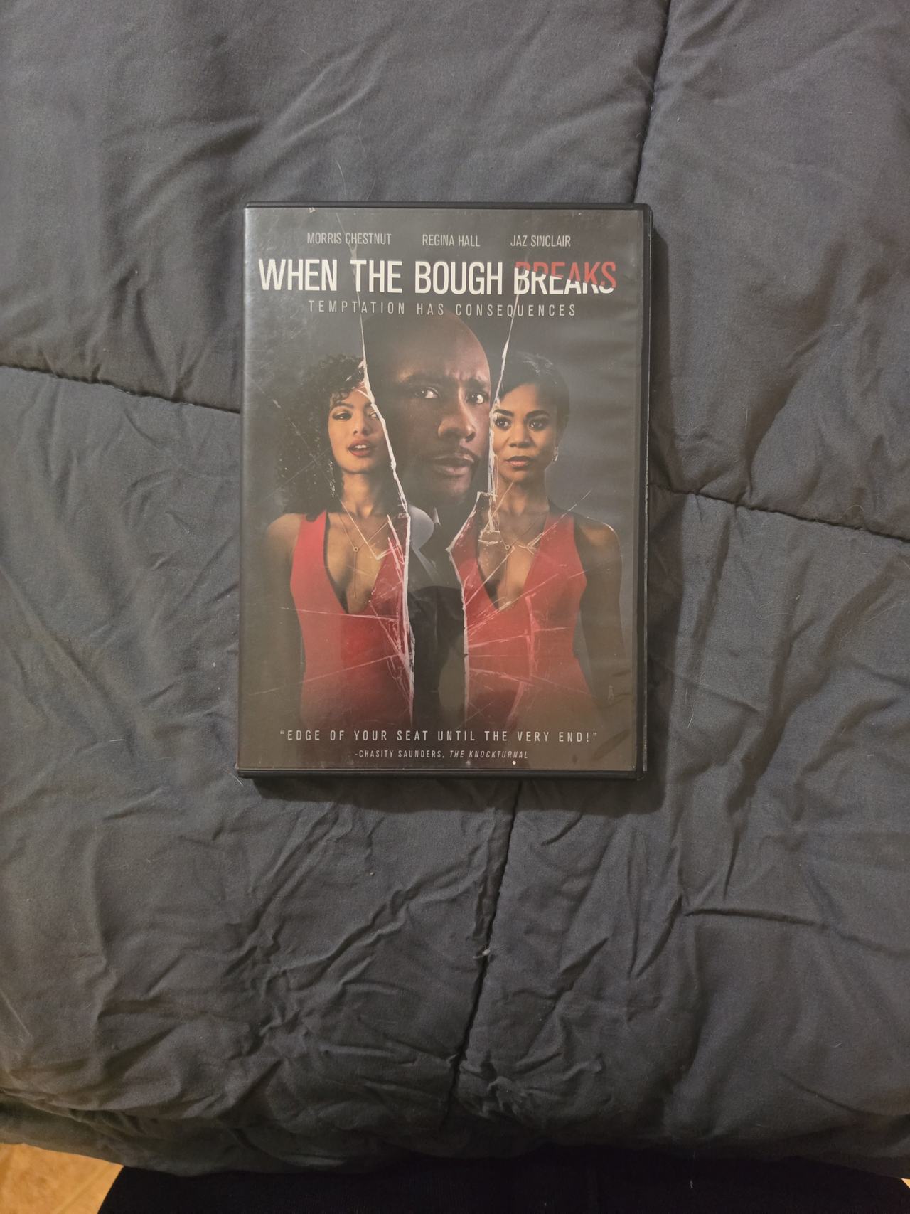 When the Bough Breaks DVD