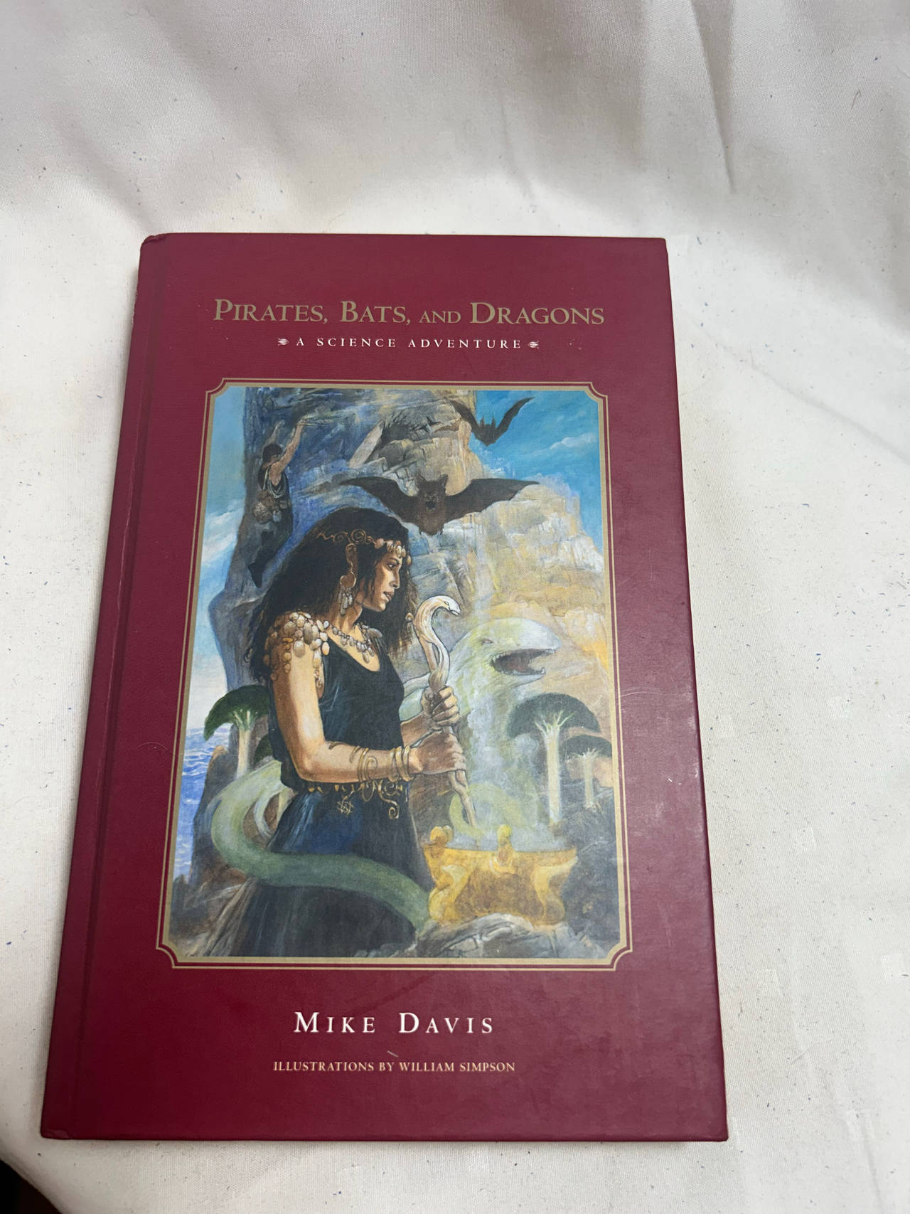 Pirates, Bats, and Dragons: A Science Adventure by Mike Davis