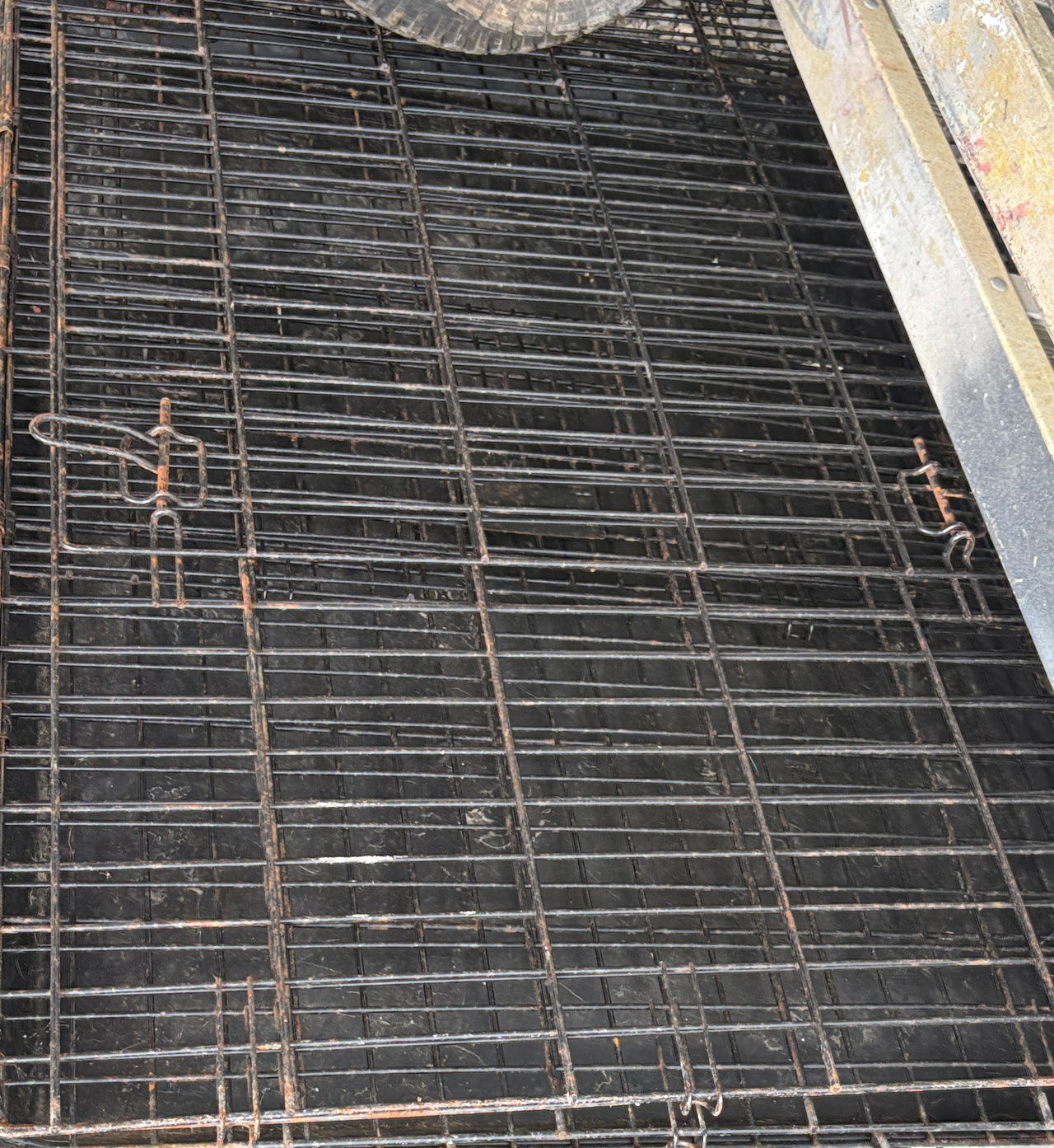 Folding Metal Dog Crate