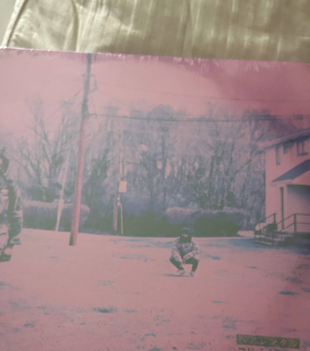 JPEGMafia - LP! Vinyl Record