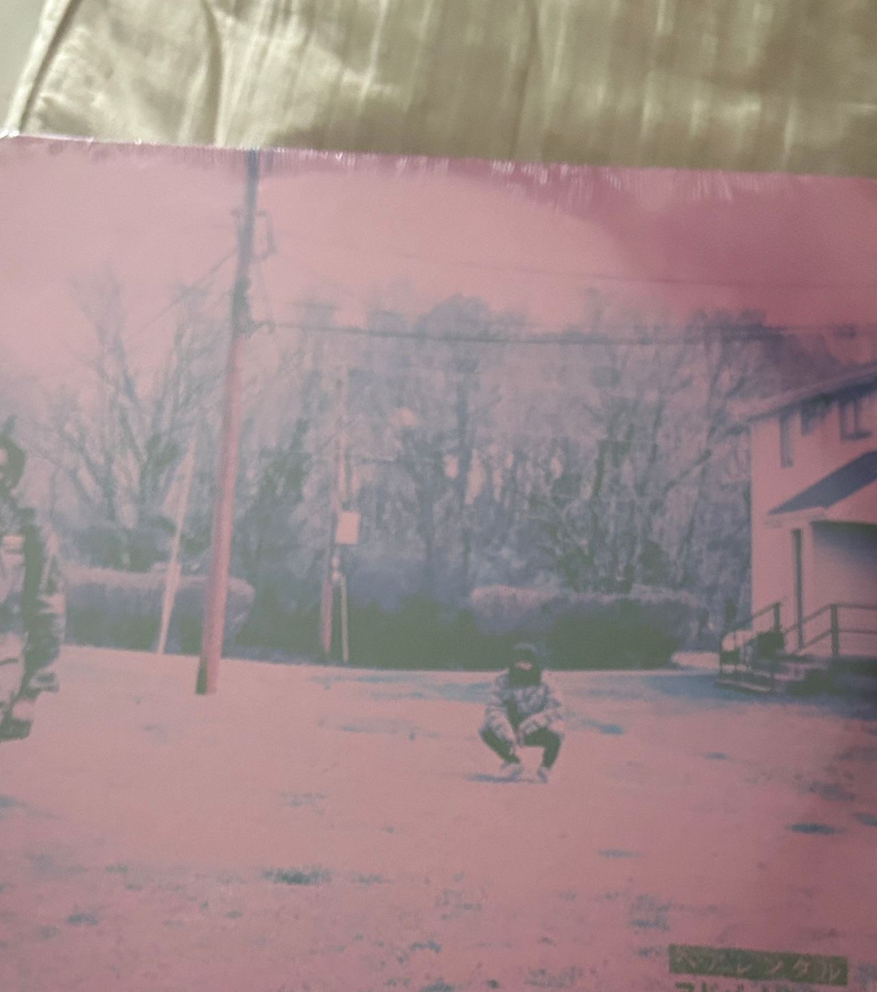 JPEGMafia - LP! Vinyl Record