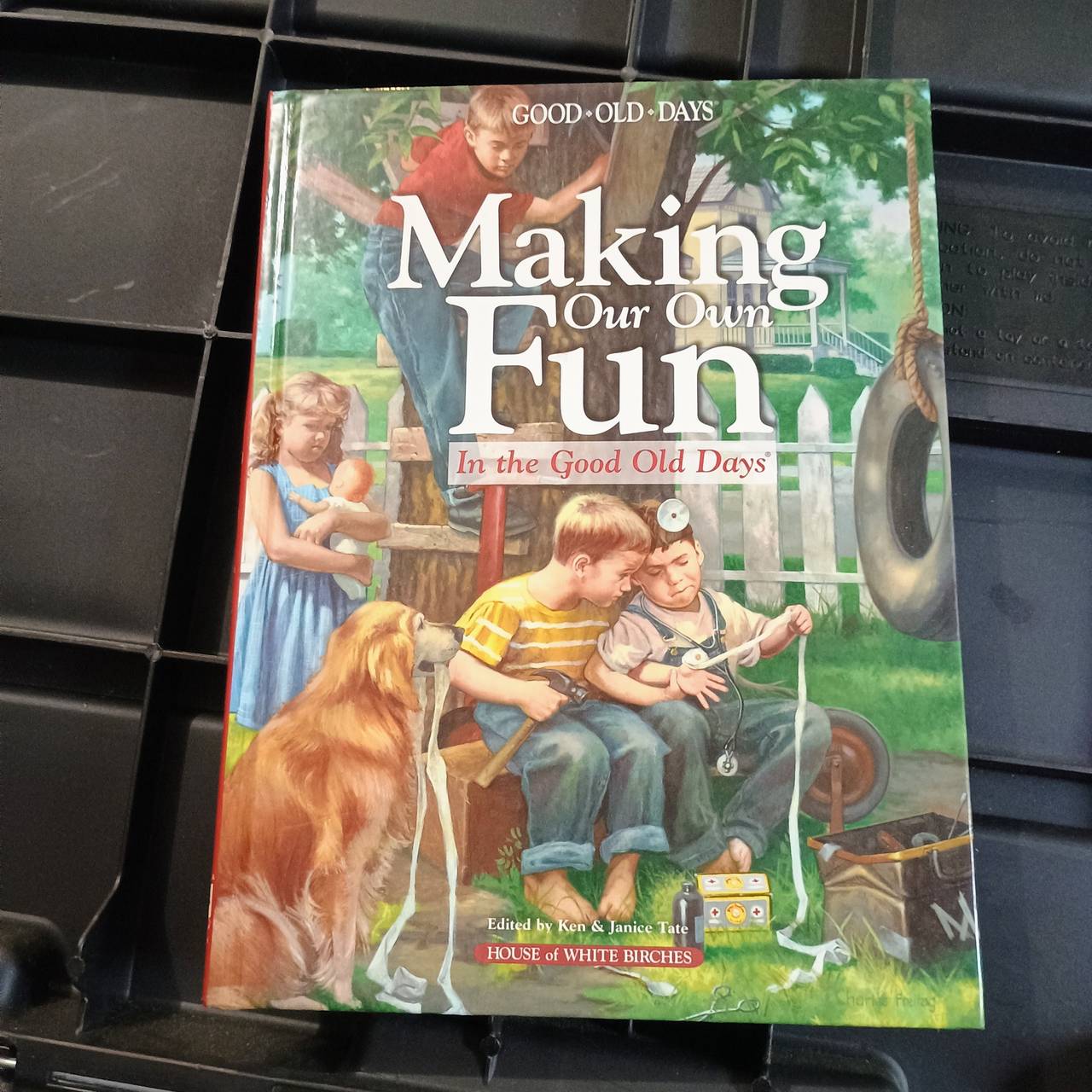 Making Our Own Fun in the Good Old Days (Hardcover)