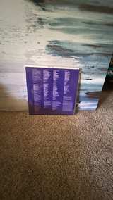 Ariel Pink's Haunted Graffiti - Mature Themes Vinyl LP - Image 2