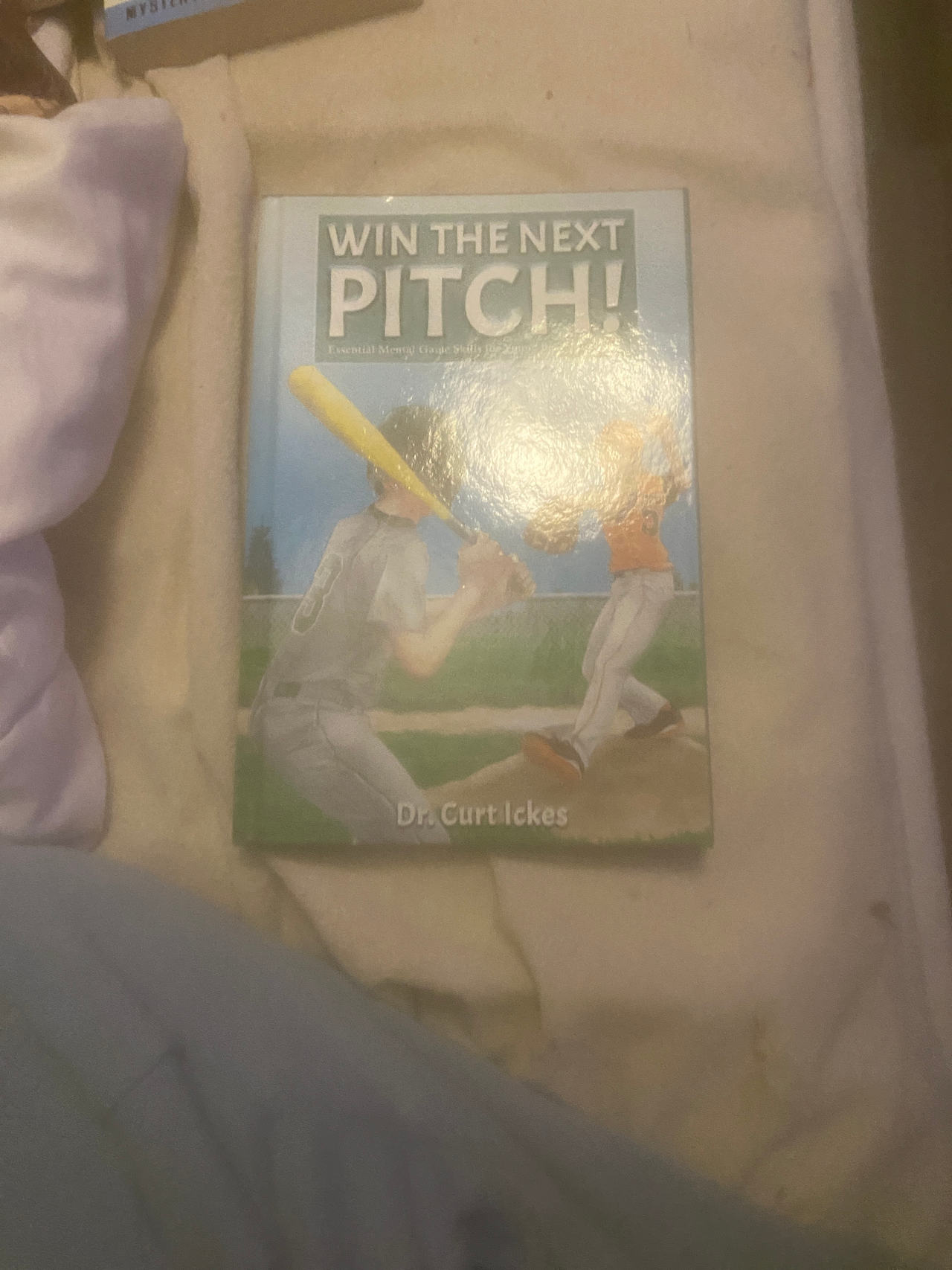 Win the Next Pitch!