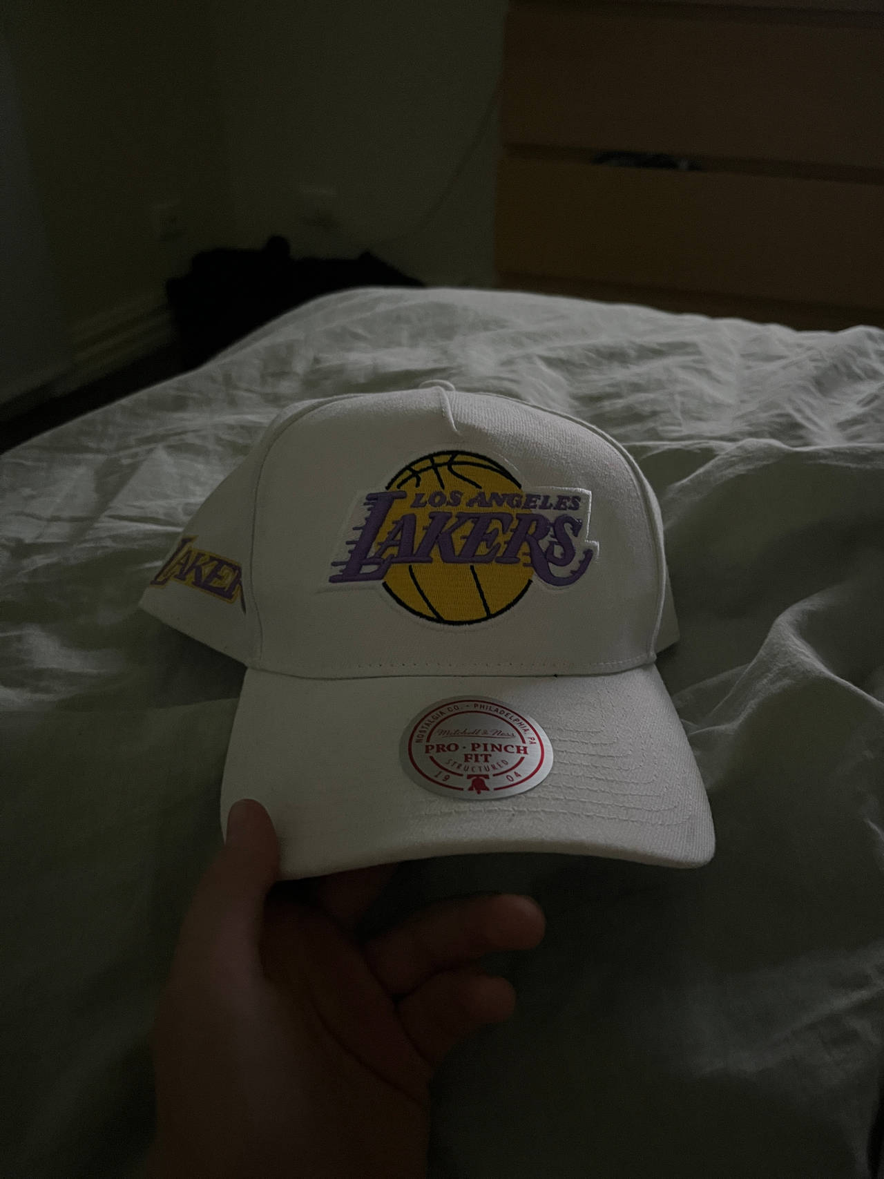 Mitchell & Ness Los Angeles Lakers Pro-Linear Snapback Hat