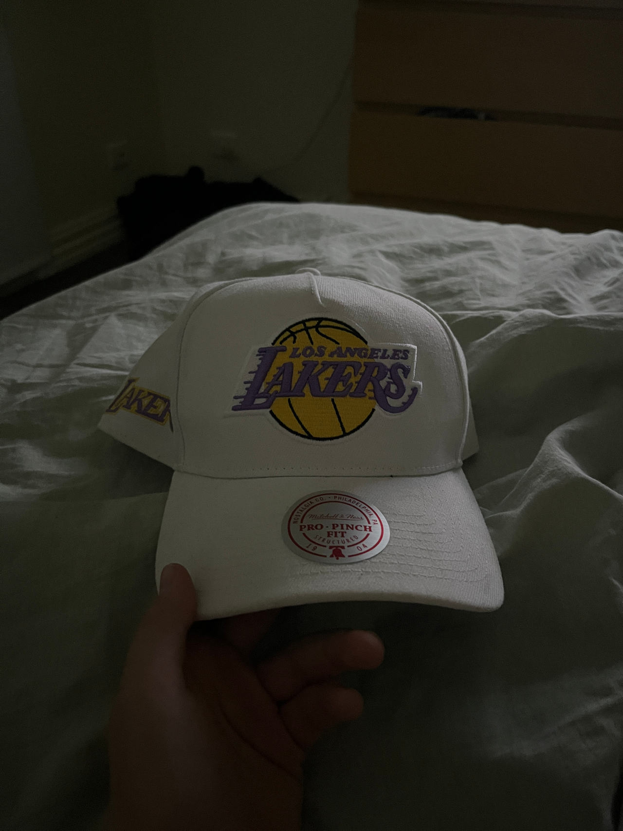 Mitchell & Ness Los Angeles Lakers Pro-Linear Snapback Hat