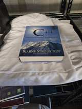 The C++ Programming Language, Fourth Edition by Bjarne Stroustrup - Image 2