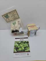 Giant Joshua Tree Grow Your Own Kit - Image 2