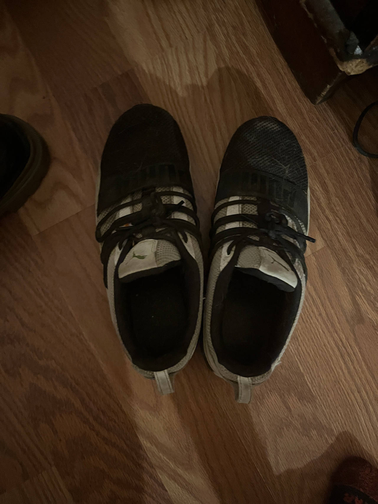 Adidas running shoes