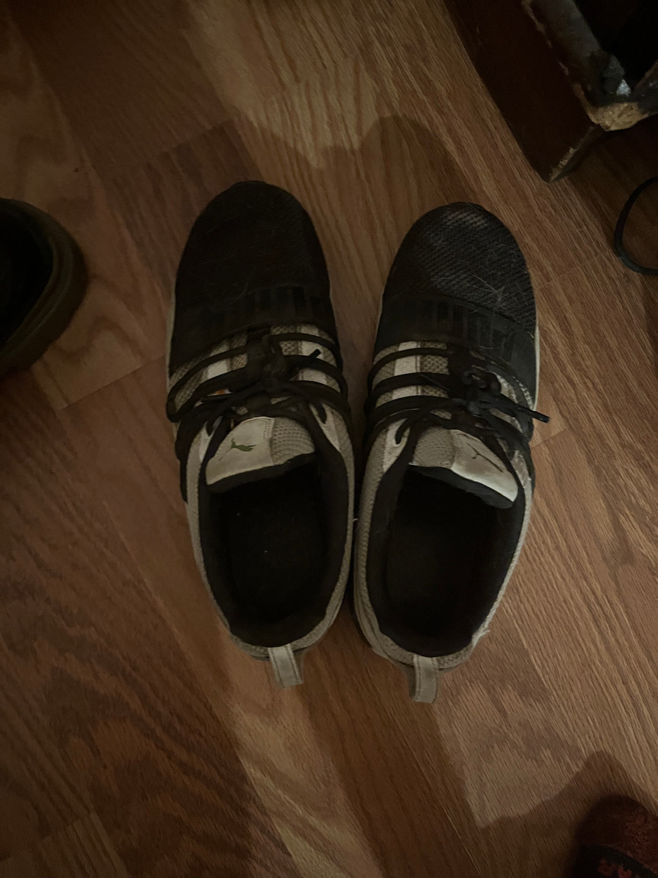 Adidas running shoes