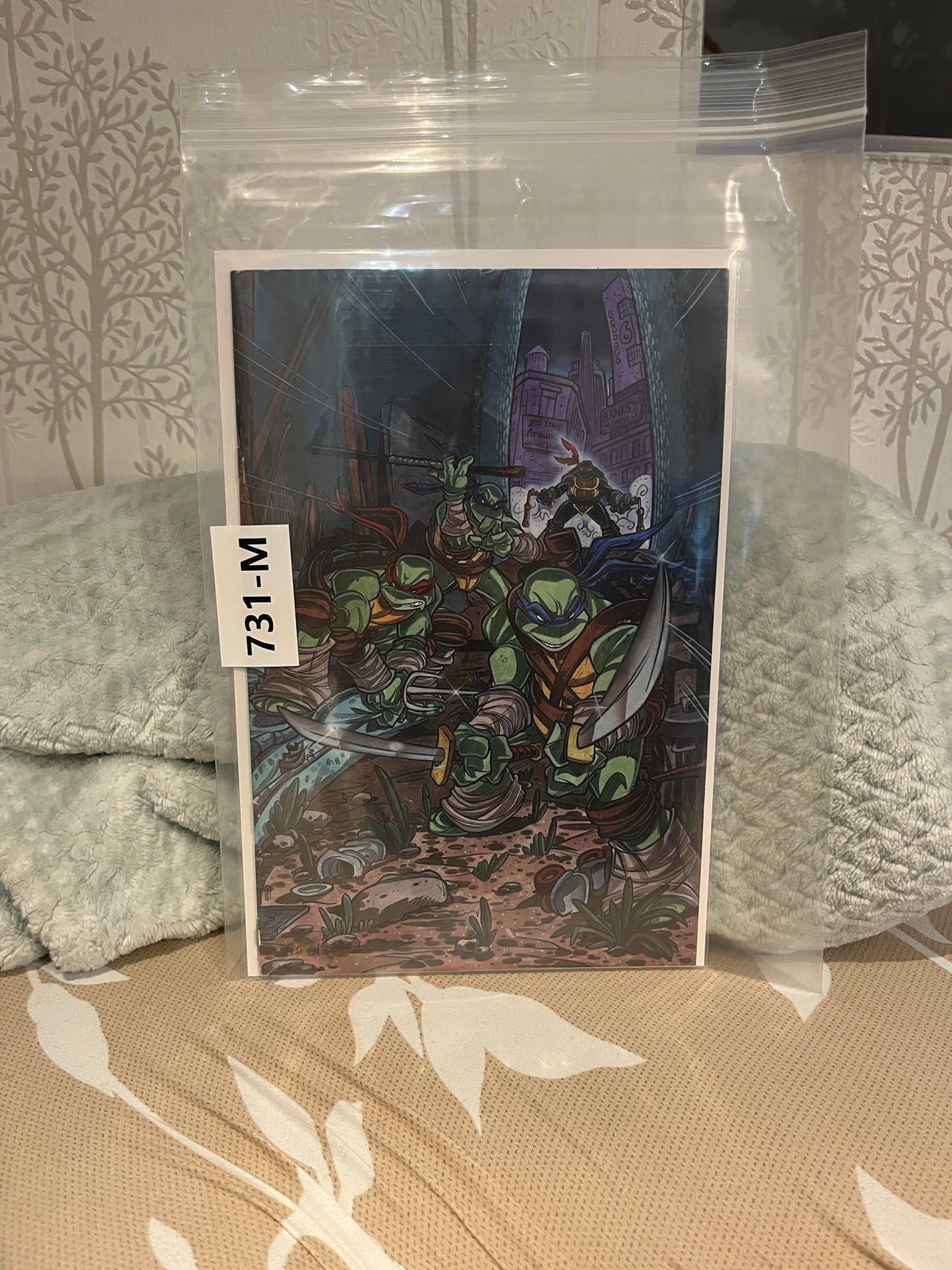 Teenage Mutant Ninja Turtles Comic Book