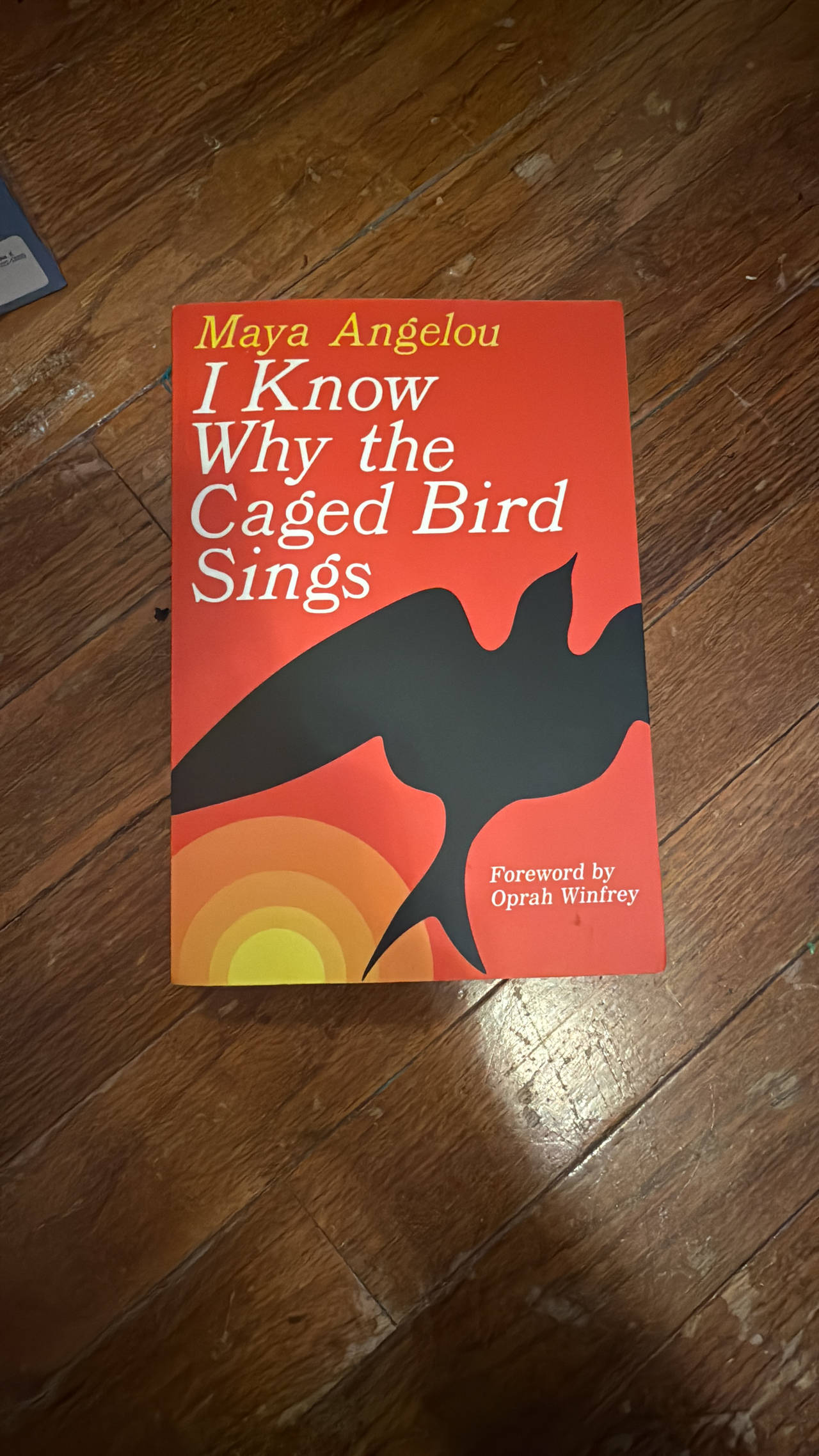 I Know Why the Caged Bird Sings Paperback