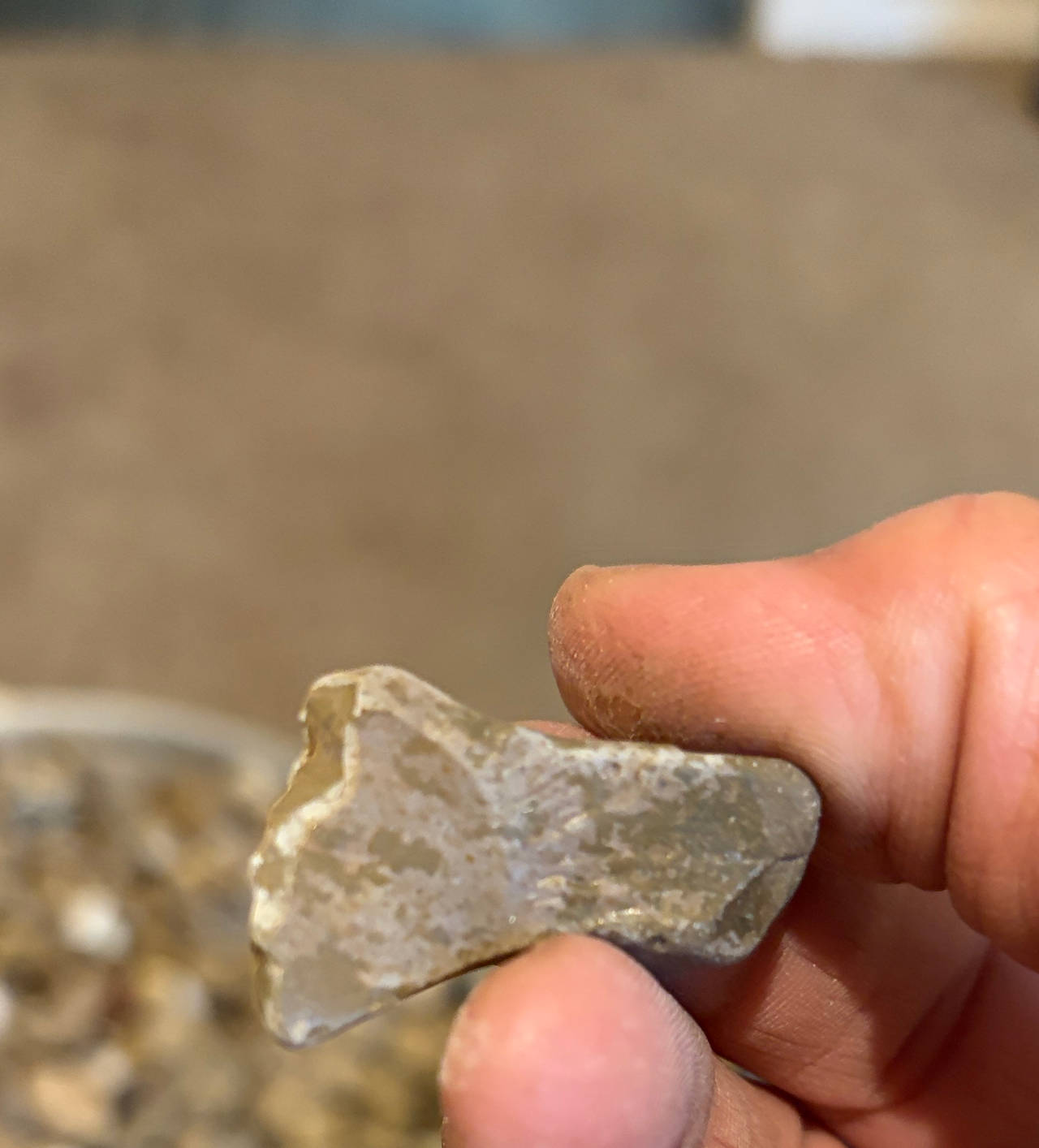Native American Arrowhead Fragment