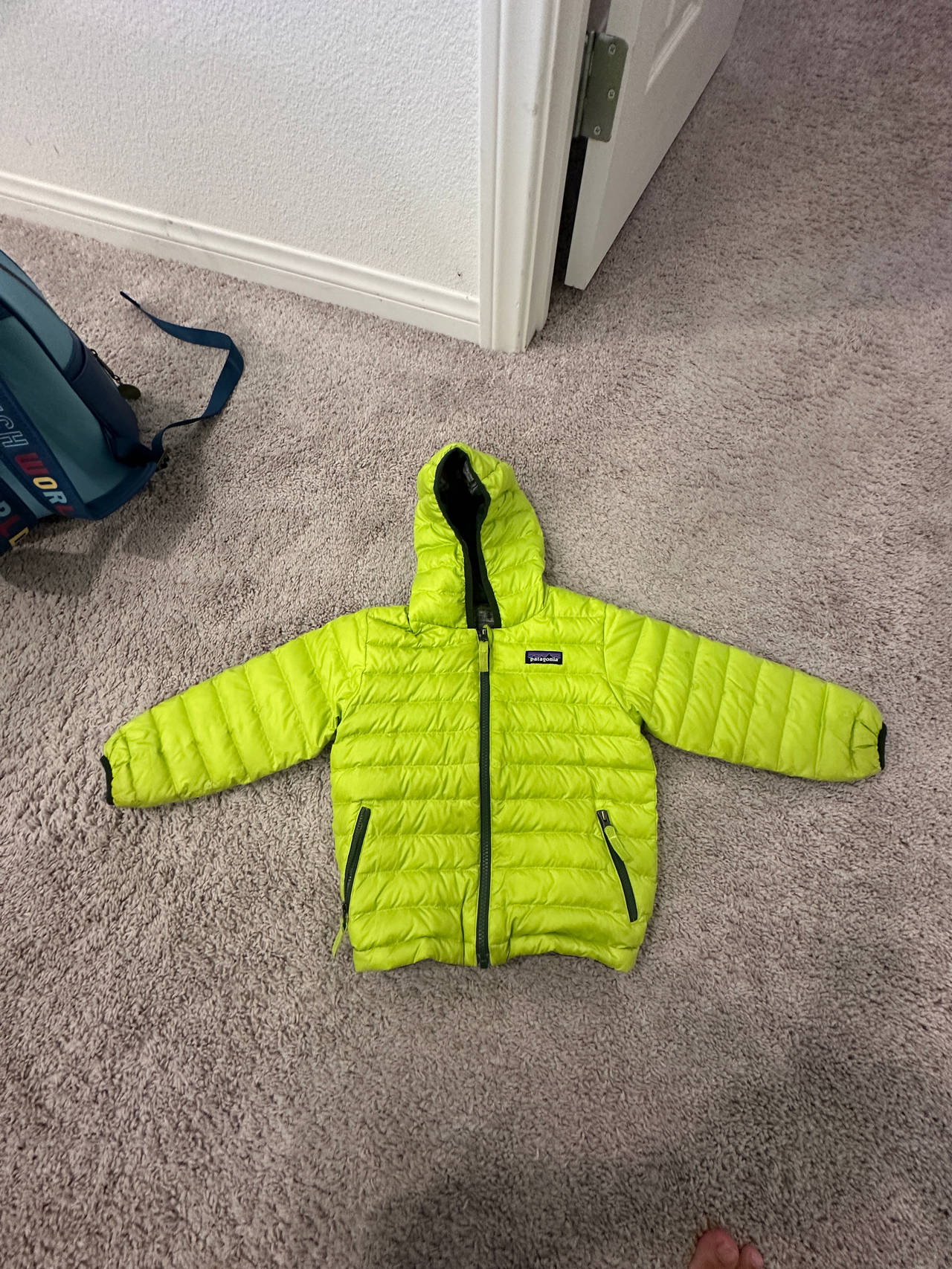 Patagonia Down Sweater Hoody - Kids'