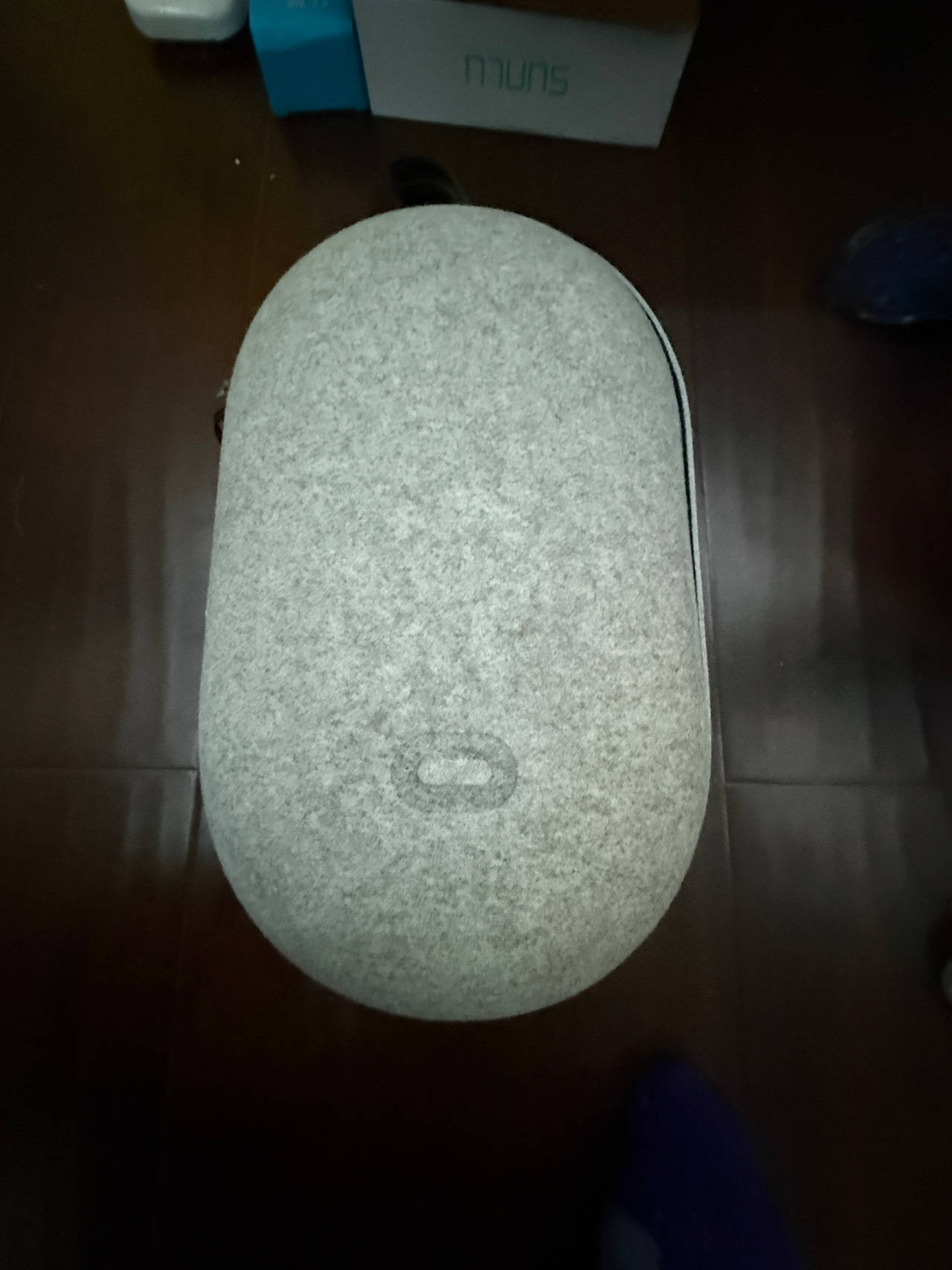 Oculus Go Carrying Case