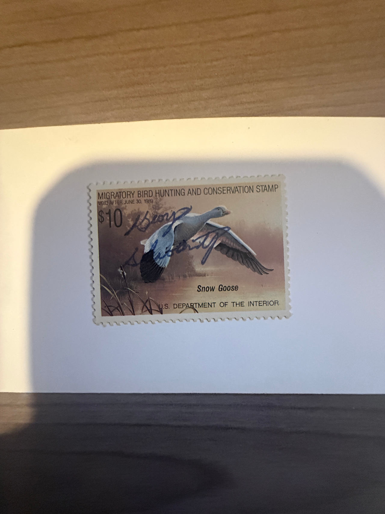 1988-1989 $10 Snow Goose Federal Duck Stamp RW55 artist signed CV$55