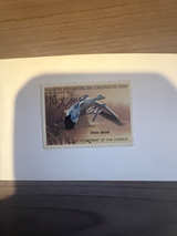 1988-1989 $10 Snow Goose Federal Duck Stamp RW55 artist signed CV$55 - Image 1
