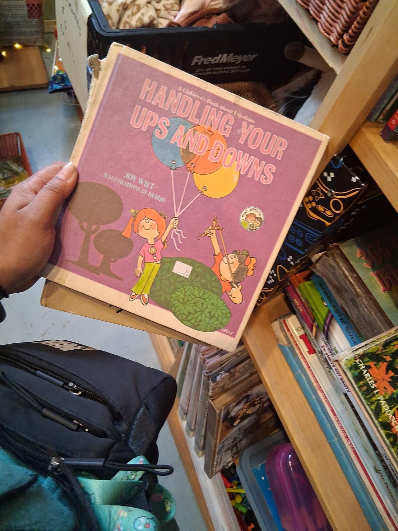 Handling Your Ups and Downs: A Children's Book about Emotions
