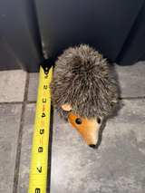 Clemens Spieltiere Hedgehog Plush - Image 5