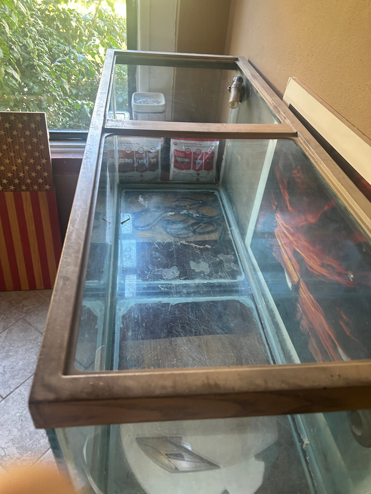 Glass Aquarium Tank
