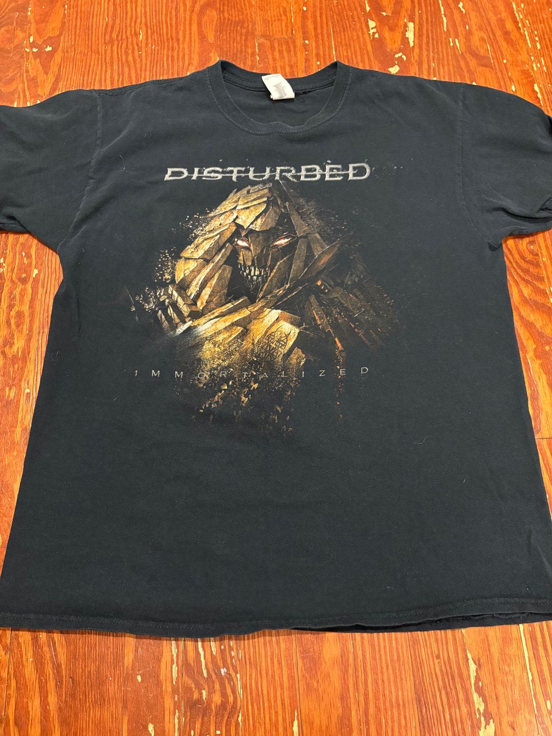 Disturbed Immortalized Tour T-Shirt Black