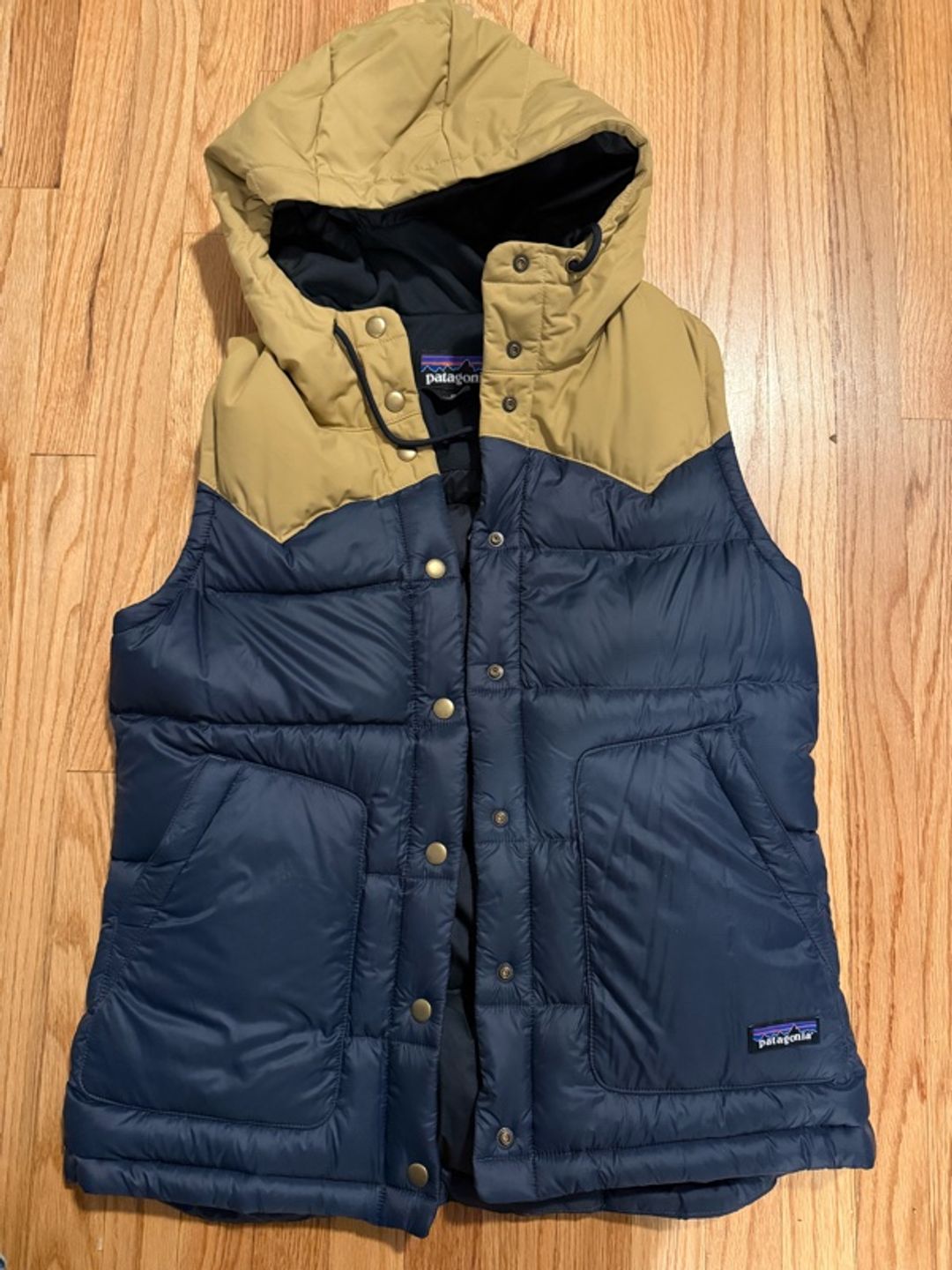 Patagonia Women's Bivy Hooded Vest