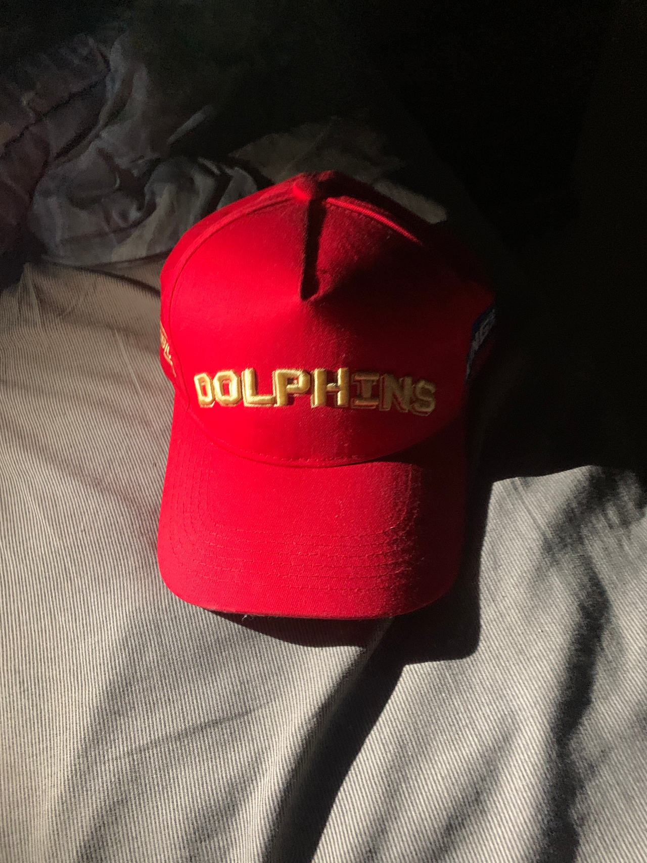 Red Dolphins Baseball Cap