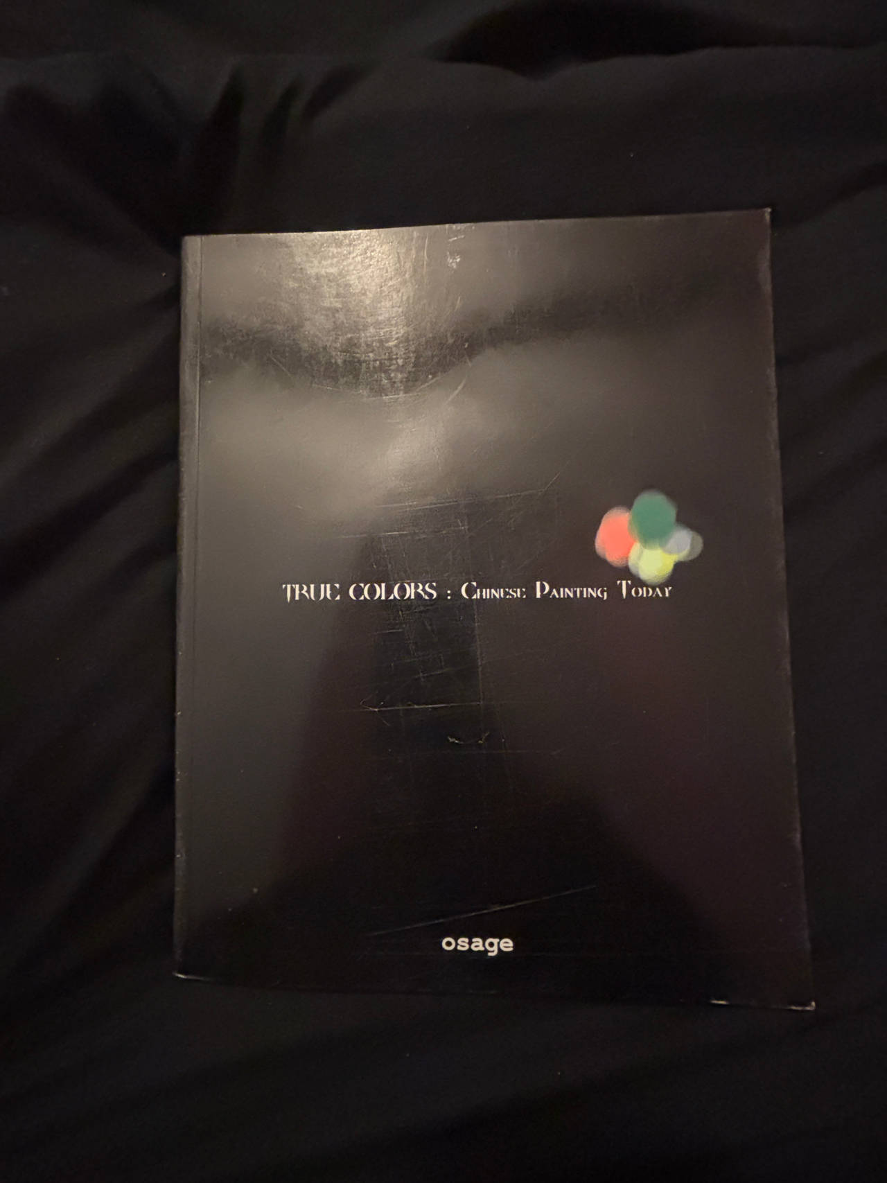 RARE True Colors Chinese Painting Today Exhibition Catalogue Osage Shanghai 2008