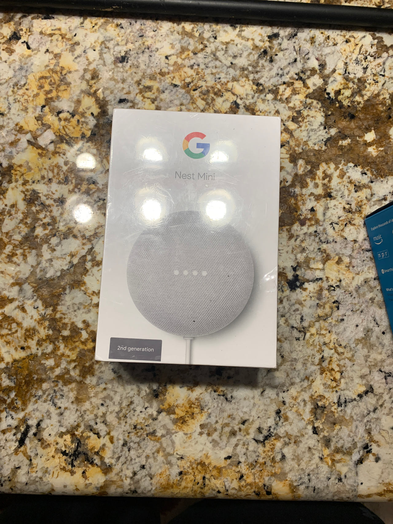 Google Nest Mini