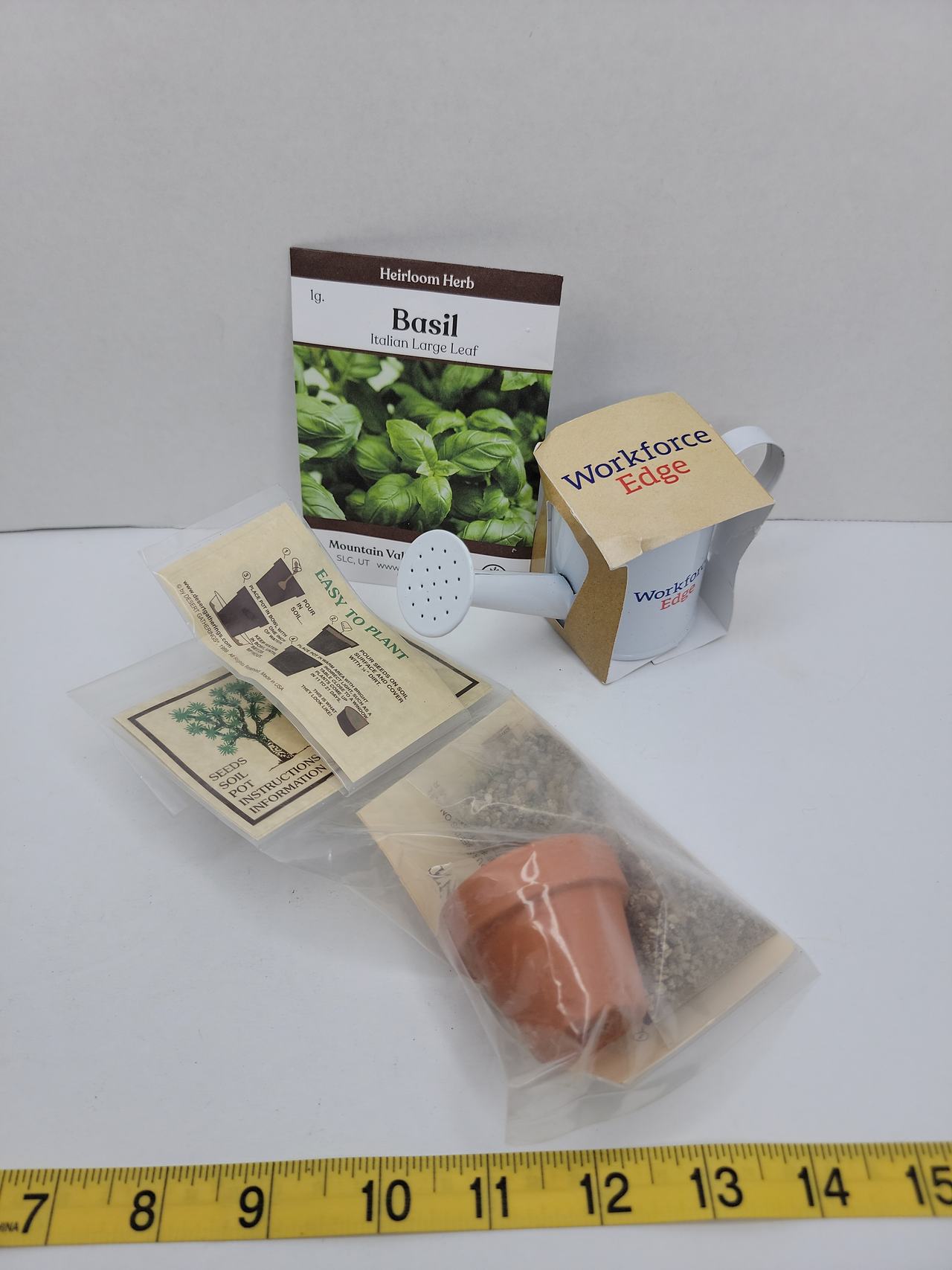 Giant Joshua Tree Grow Your Own Kit