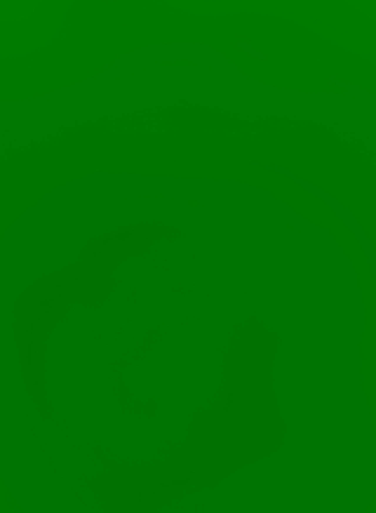 Green Screen Backdrop