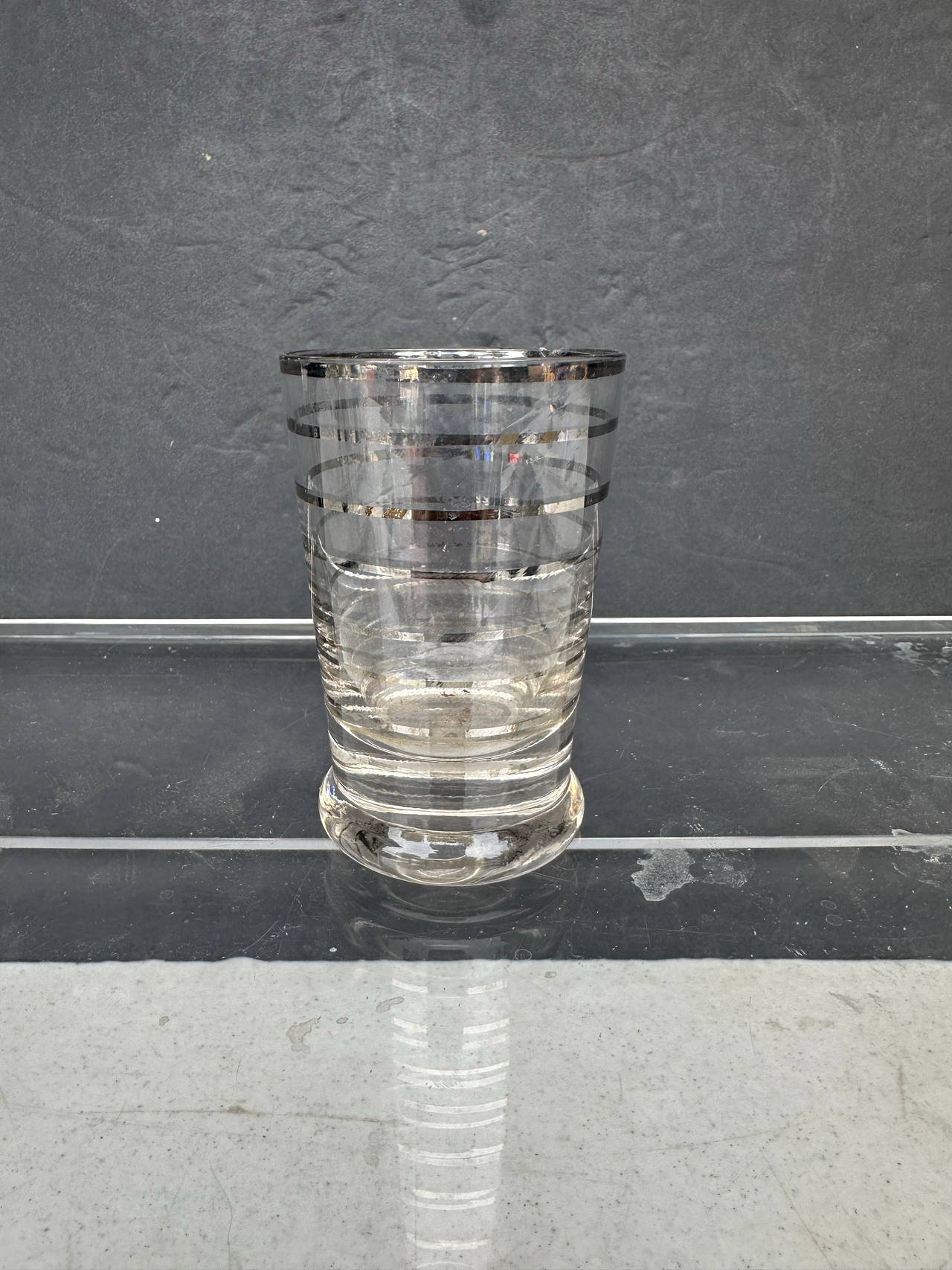 Dorothy Thorpe Silver Band Glass Tumbler
