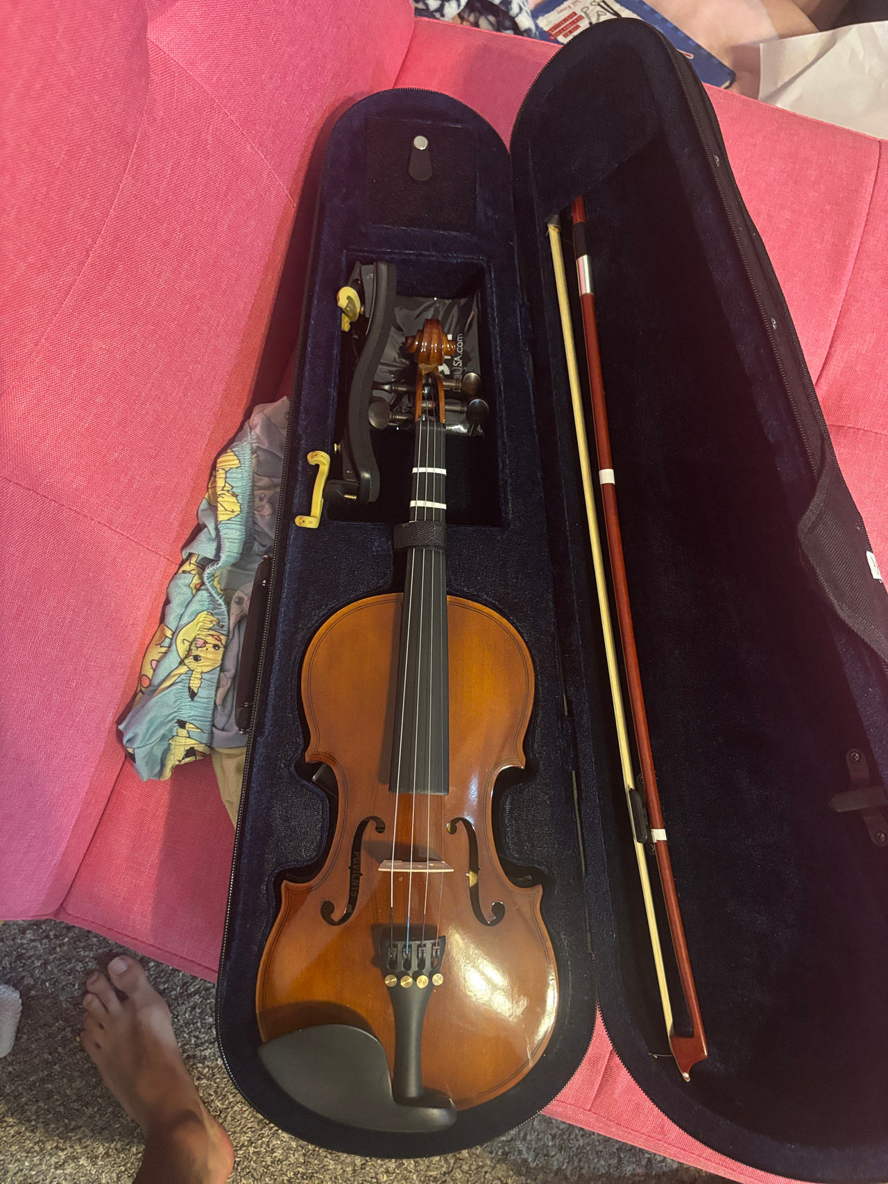 Violin