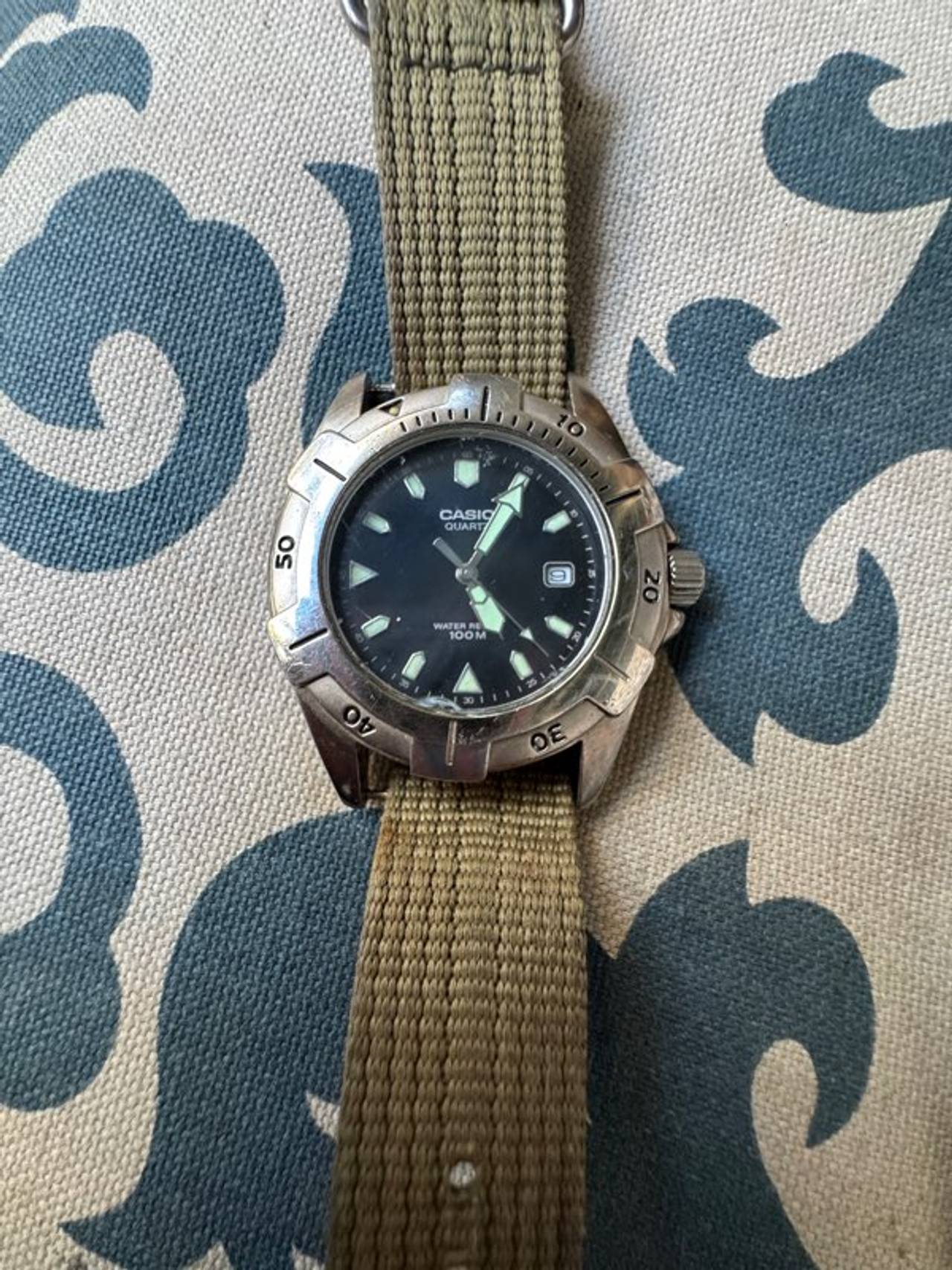 Casio Quartz Diver Watch