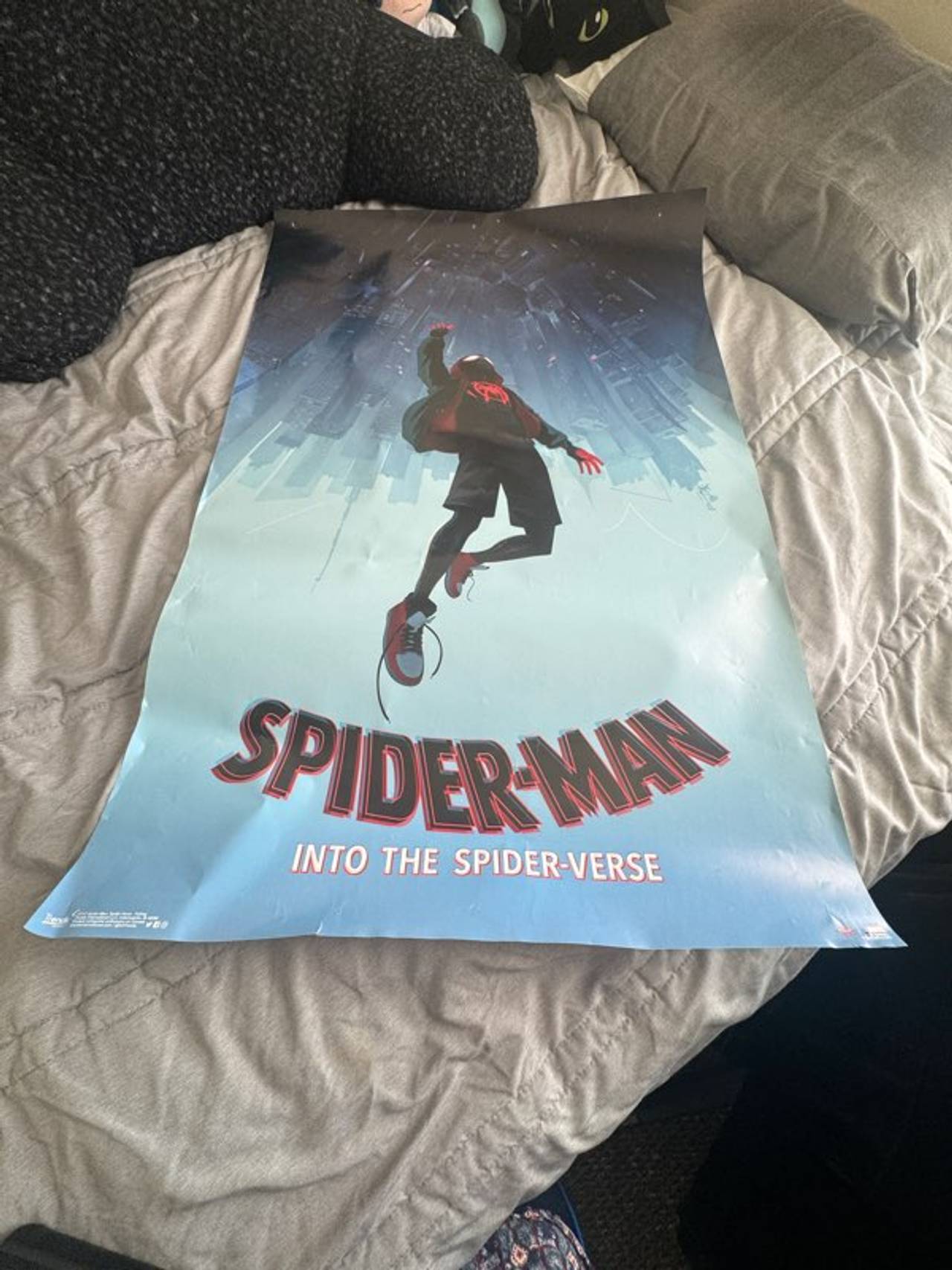 Spider-Man: Into the Spider-Verse Poster
