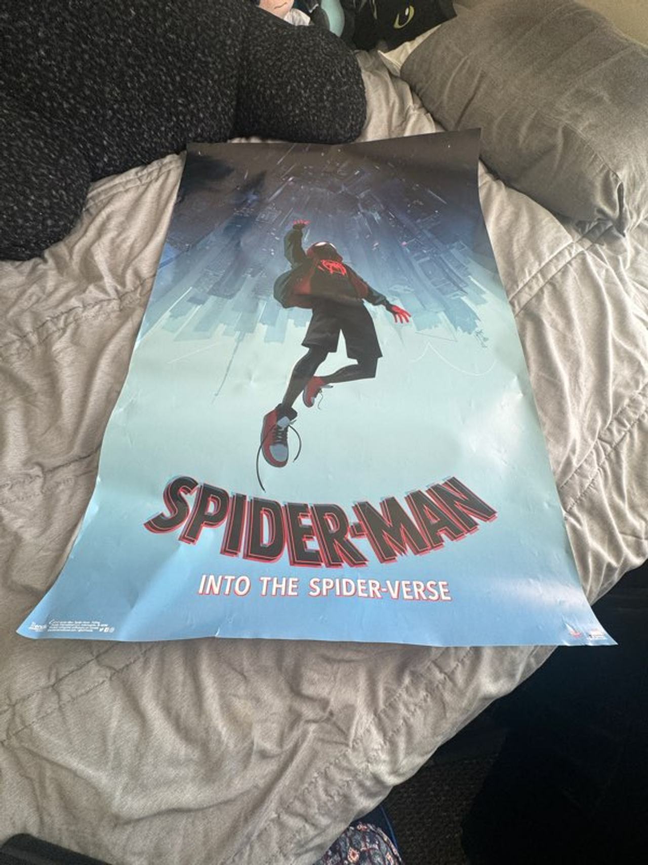 Spider-Man: Into the Spider-Verse Poster