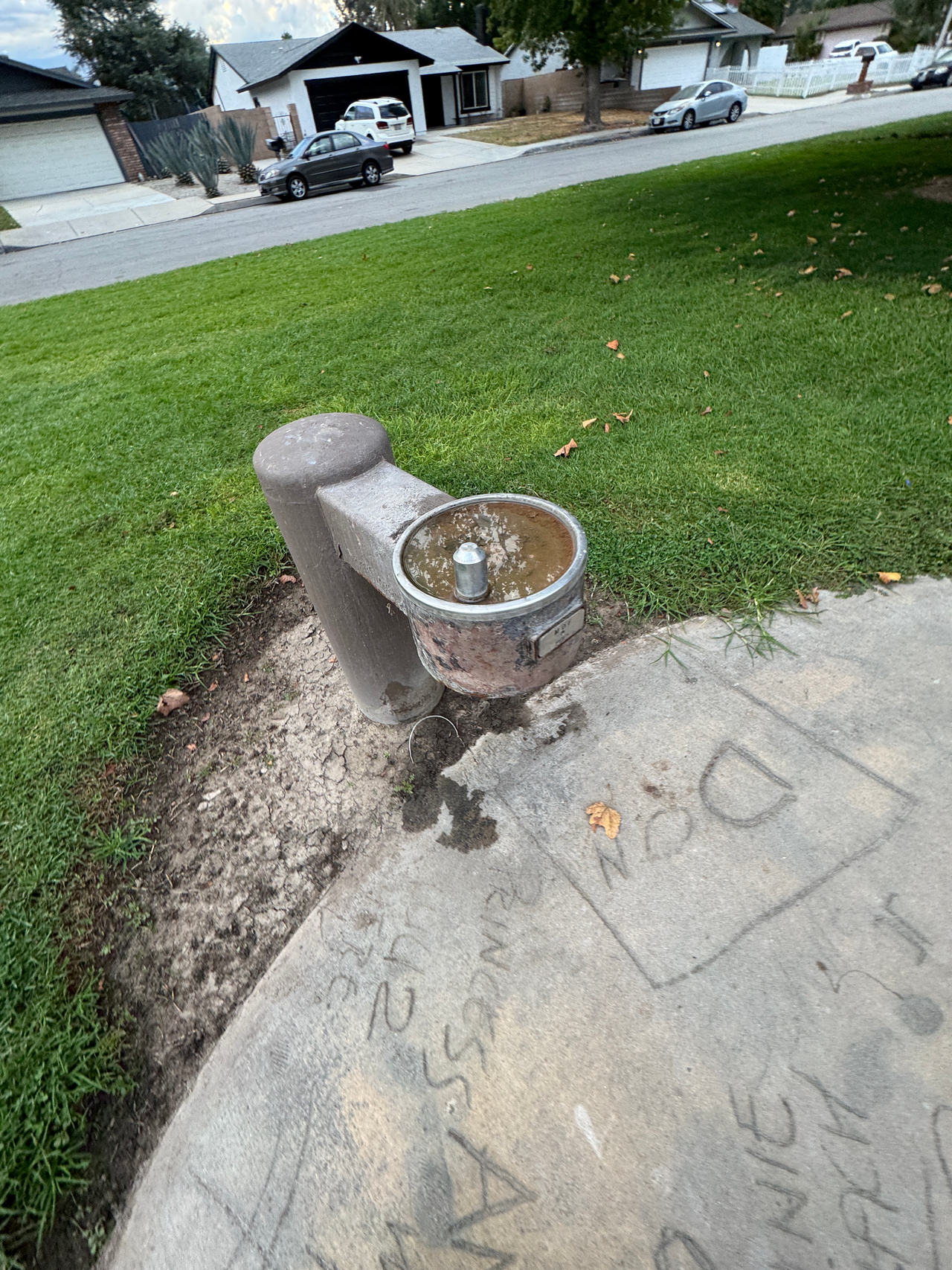 Outdoor Drinking Fountain
