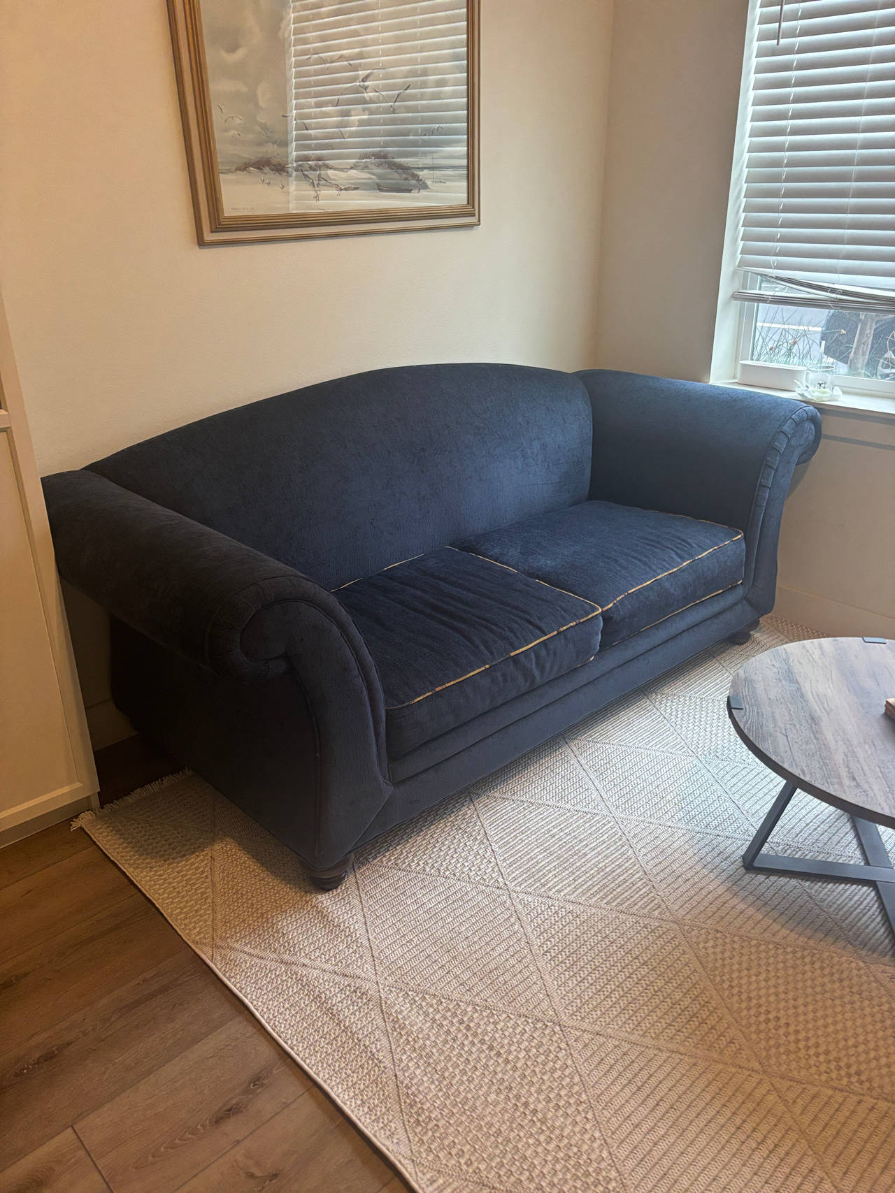 Rolled Arm Velvet Sofa