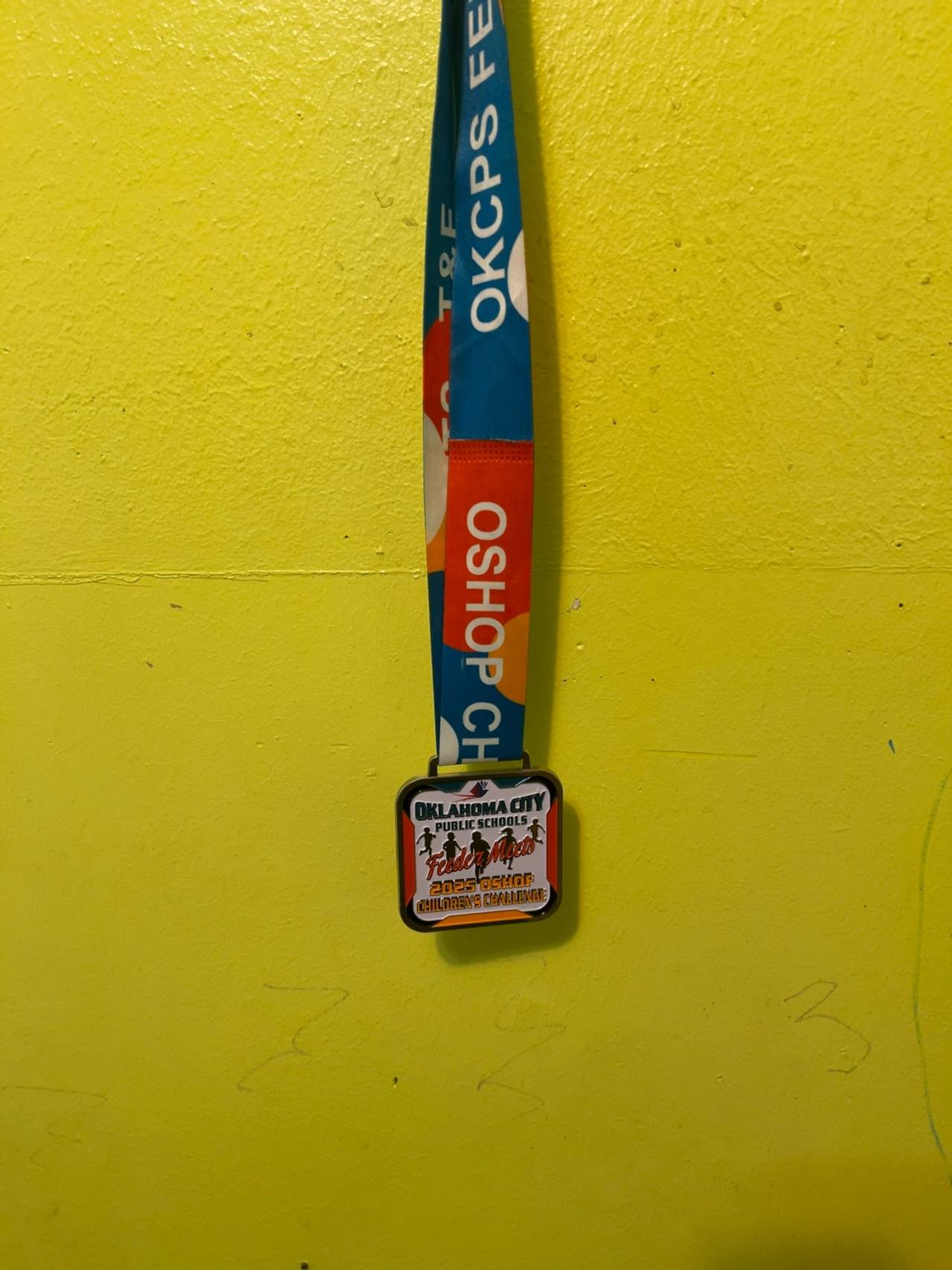 Miayork Medal Hanger Display Wall Mount