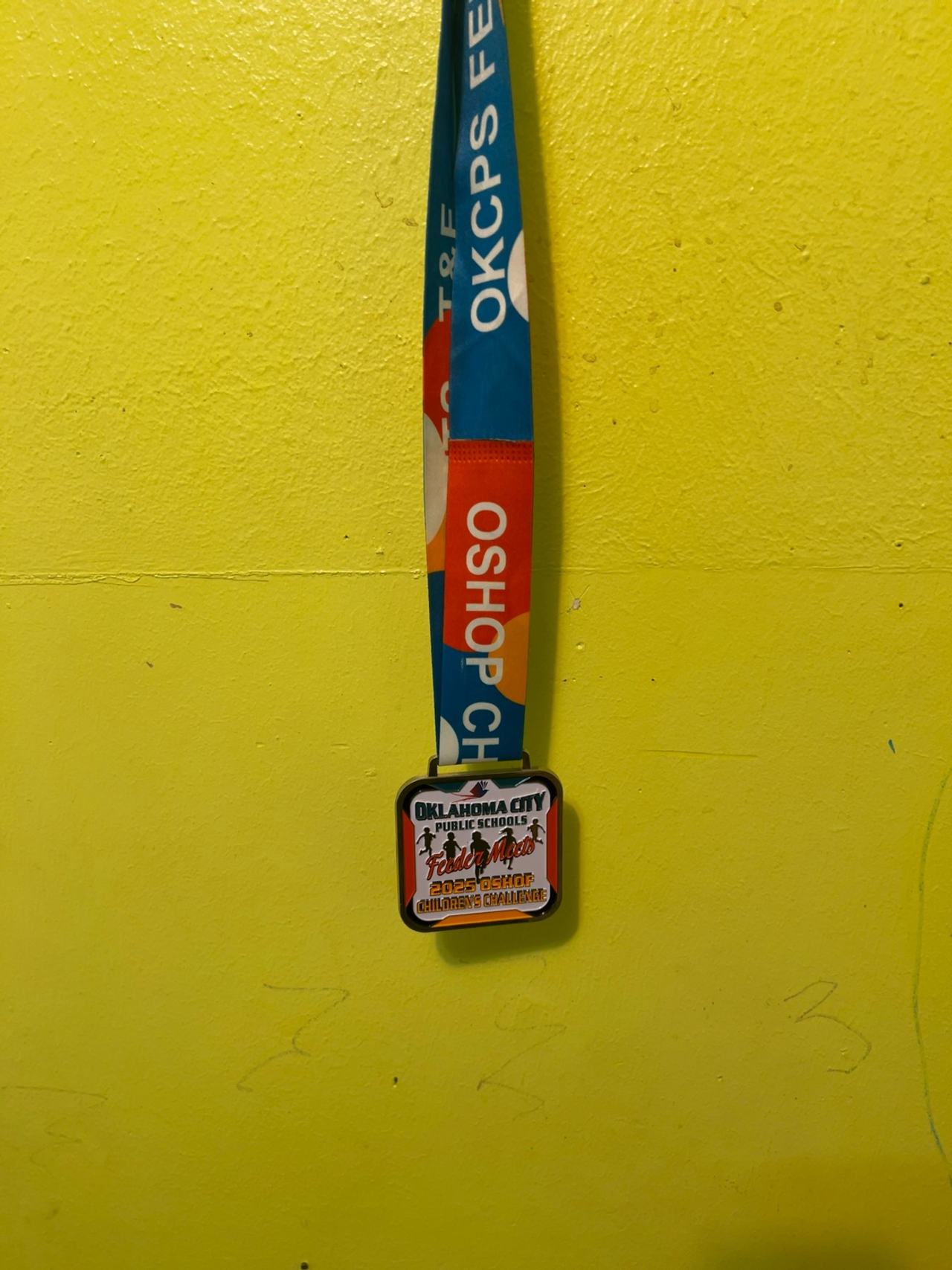 Miayork Medal Hanger Display Wall Mount