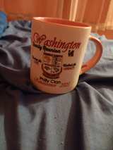 Washington Family Reunion 2025 Philly Clan Renaissance Mug - Image 2