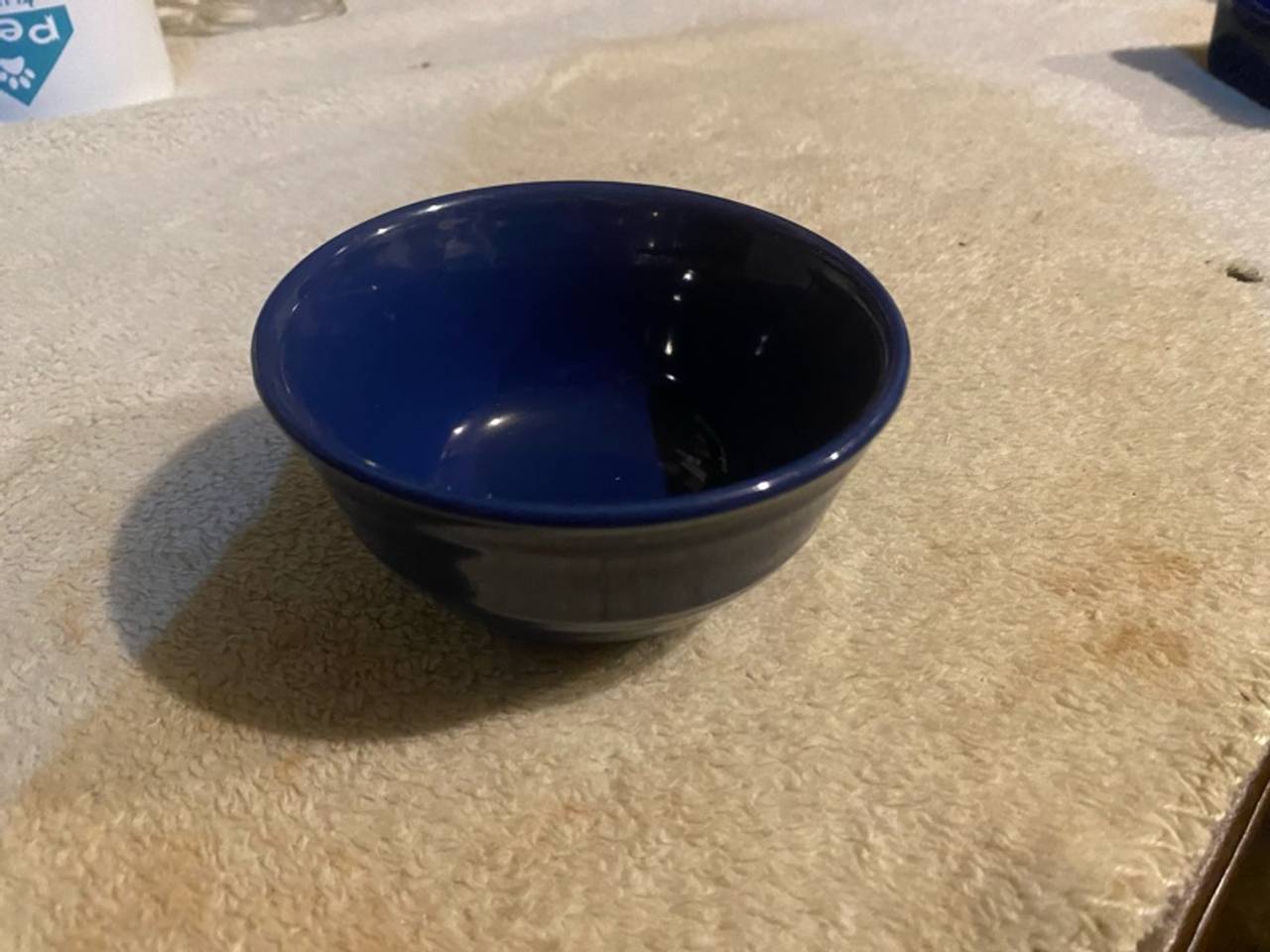 Racheal ray blue cobalt 3” dish 
